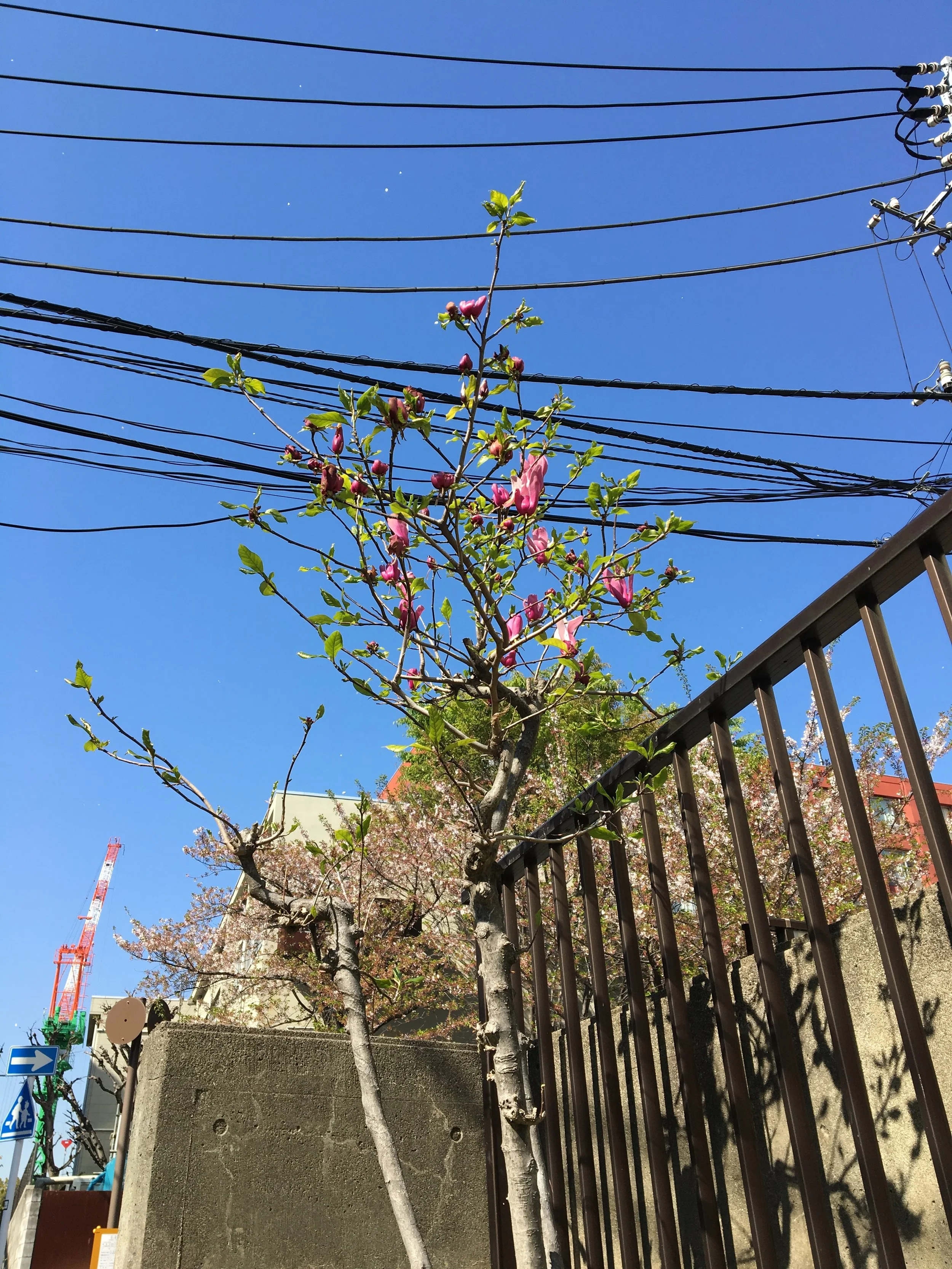 Day 10: Live Q&amp;A