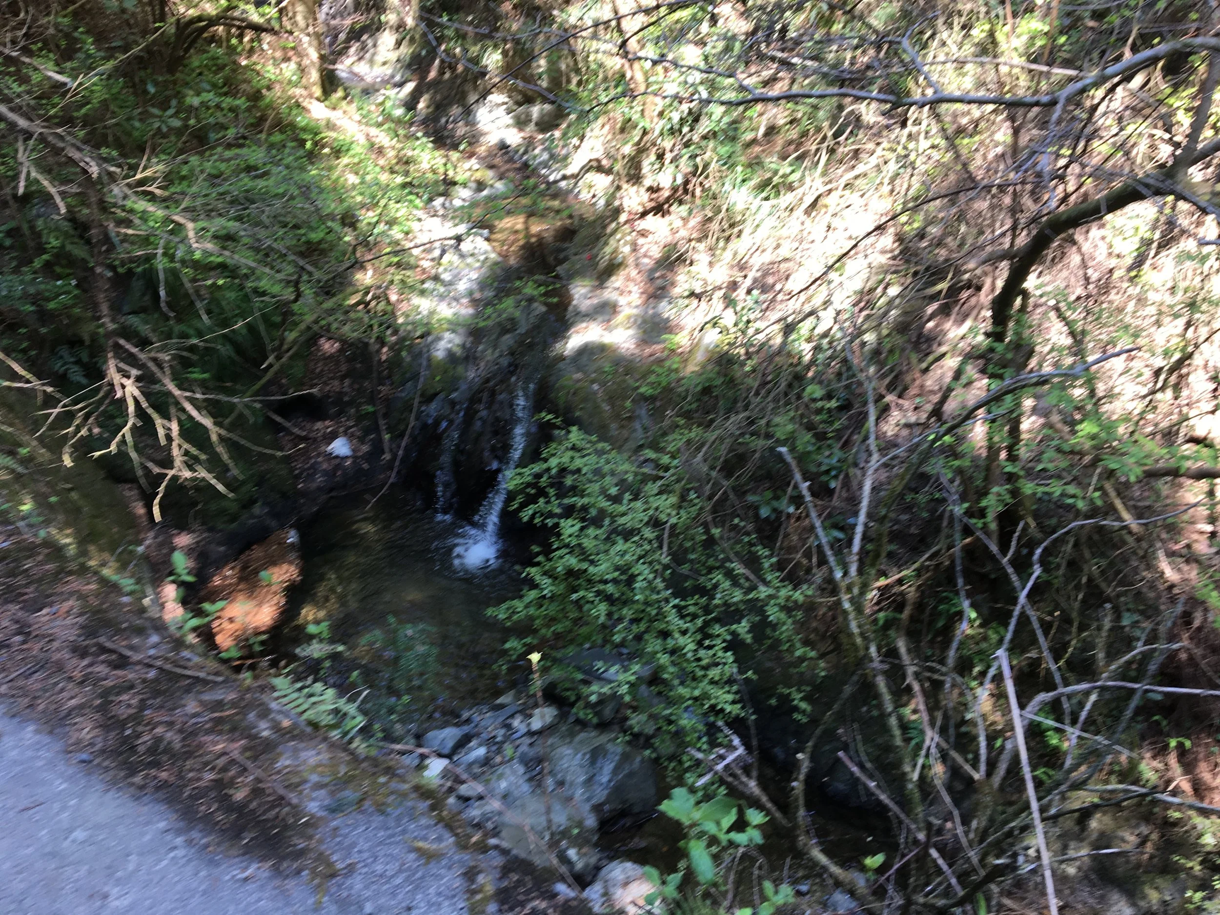 IMG_9685.JPG