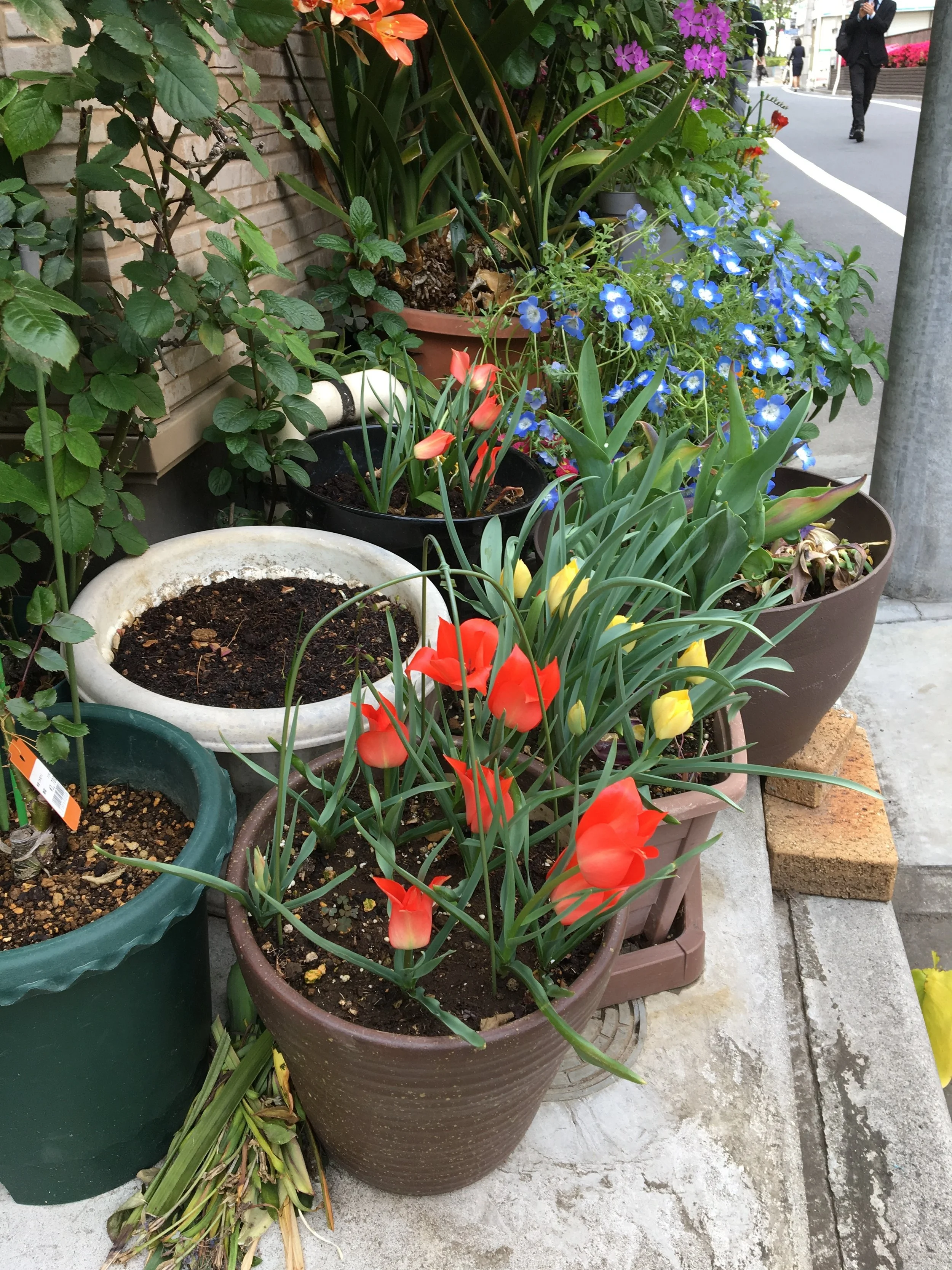 Day 13: morning routine--Part #2