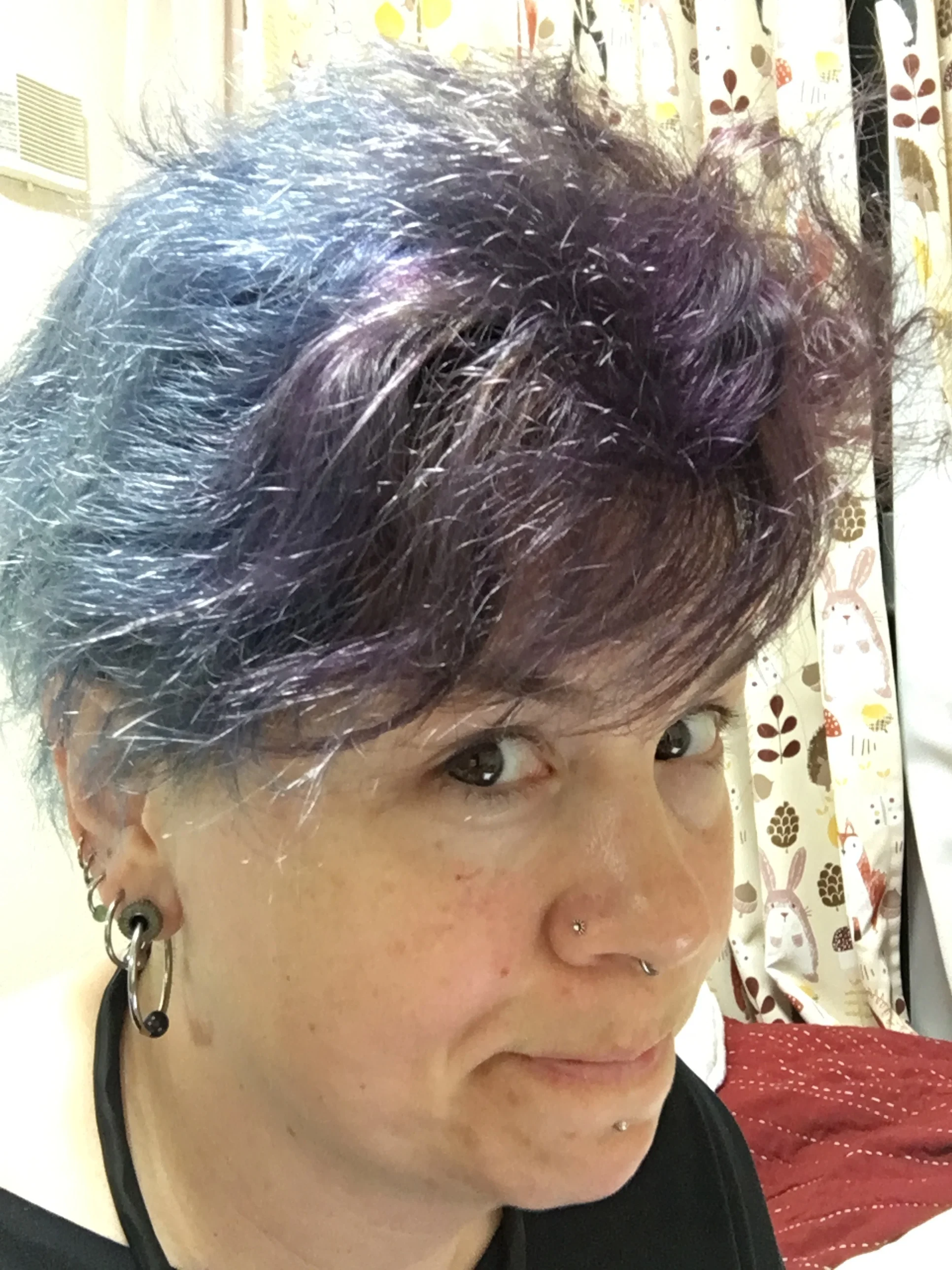 Post 20: Getting Hair Done and Tucker to the Vet