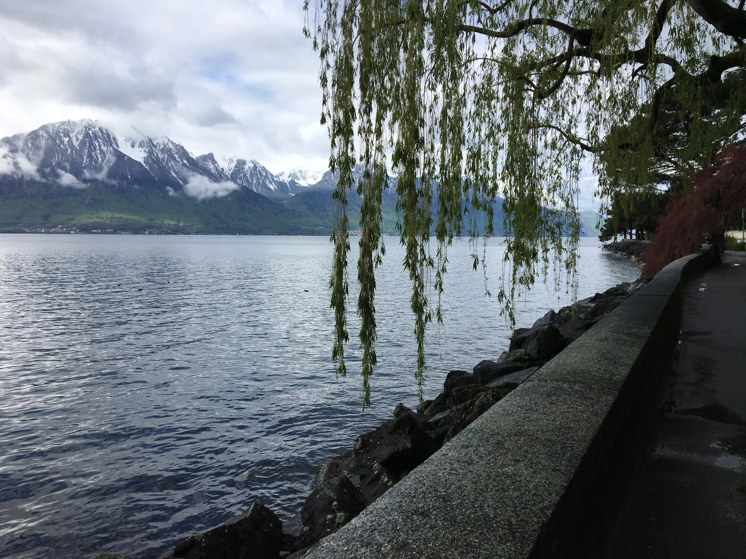 2019-04-28 10.16.59.jpg