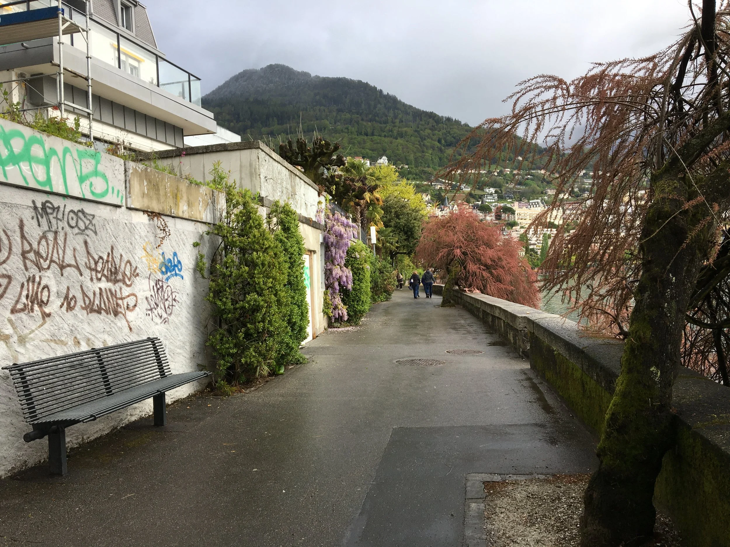2019-04-28 10.19.05.jpg