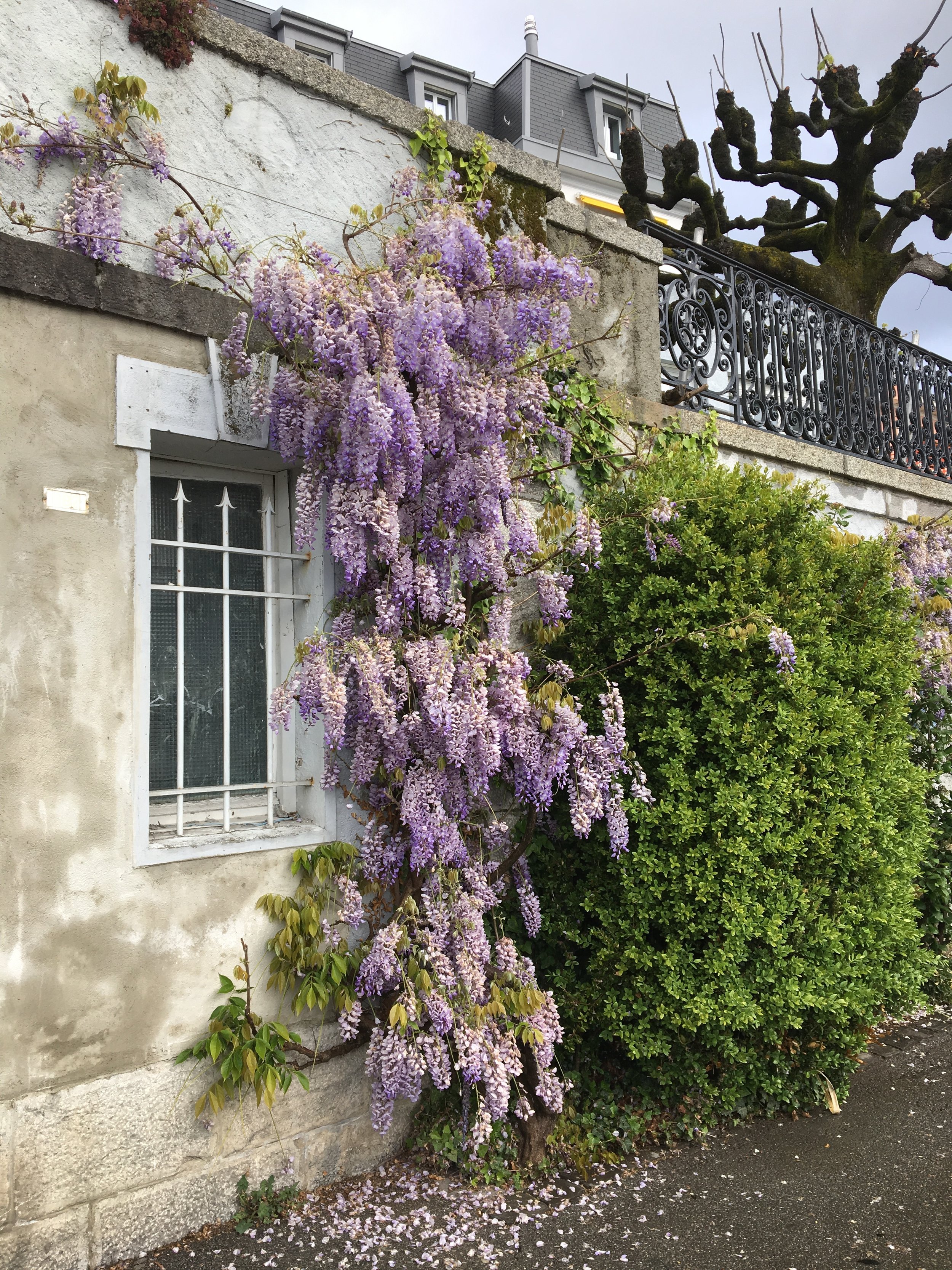 2019-04-28 10.19.21.jpg