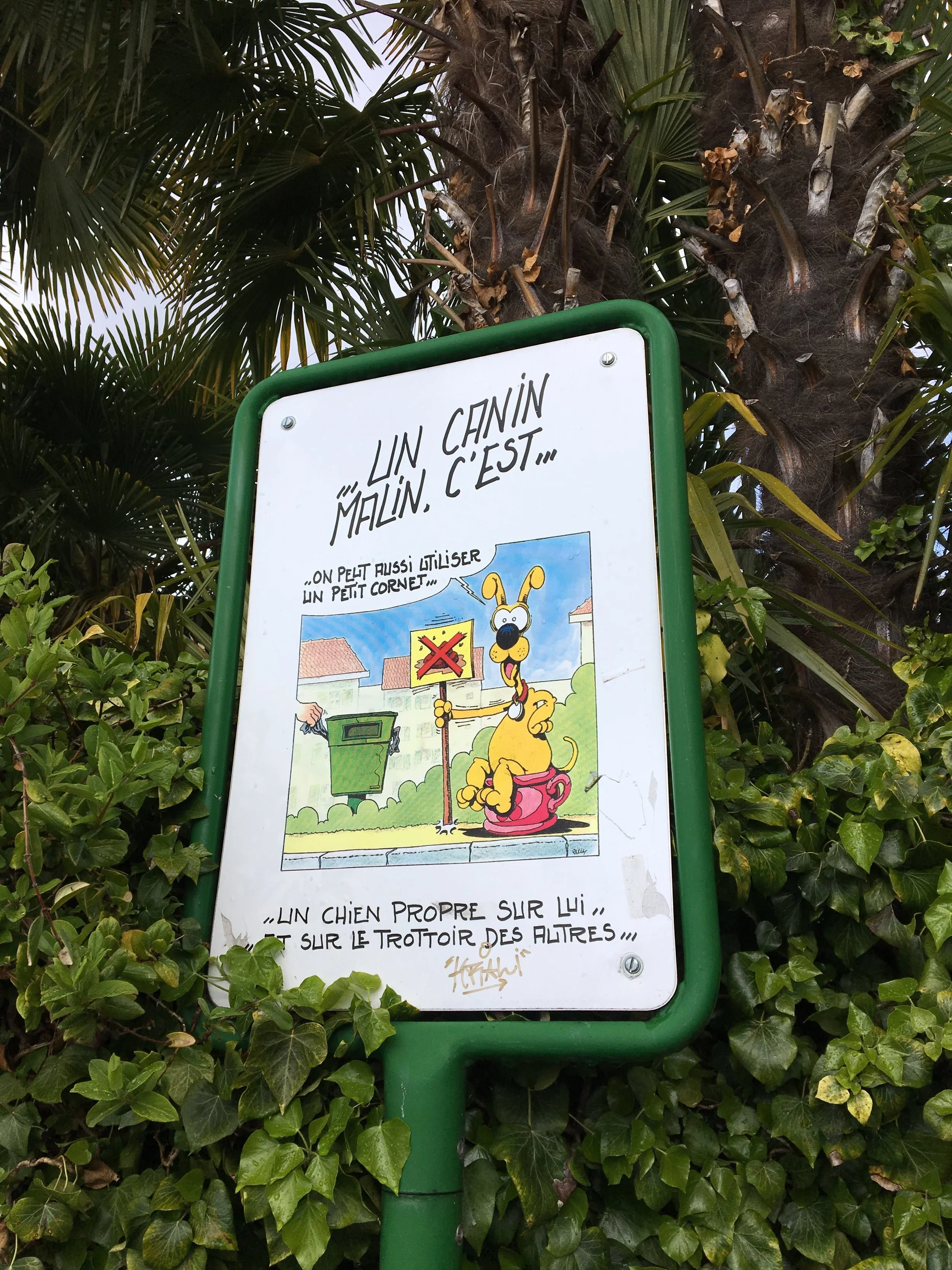 2019-04-28 10.21.14.jpg