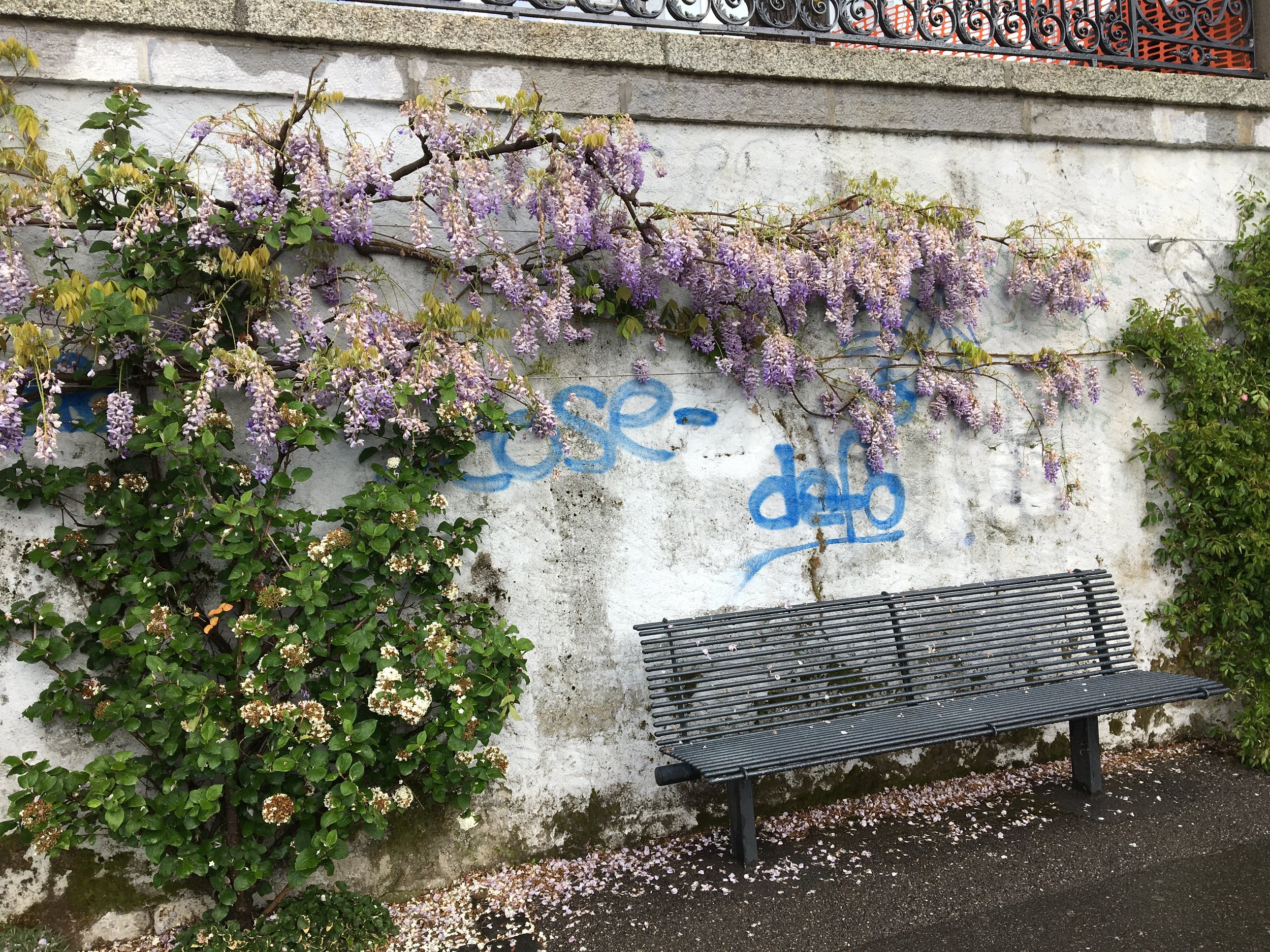 2019-04-28 10.19.30.jpg