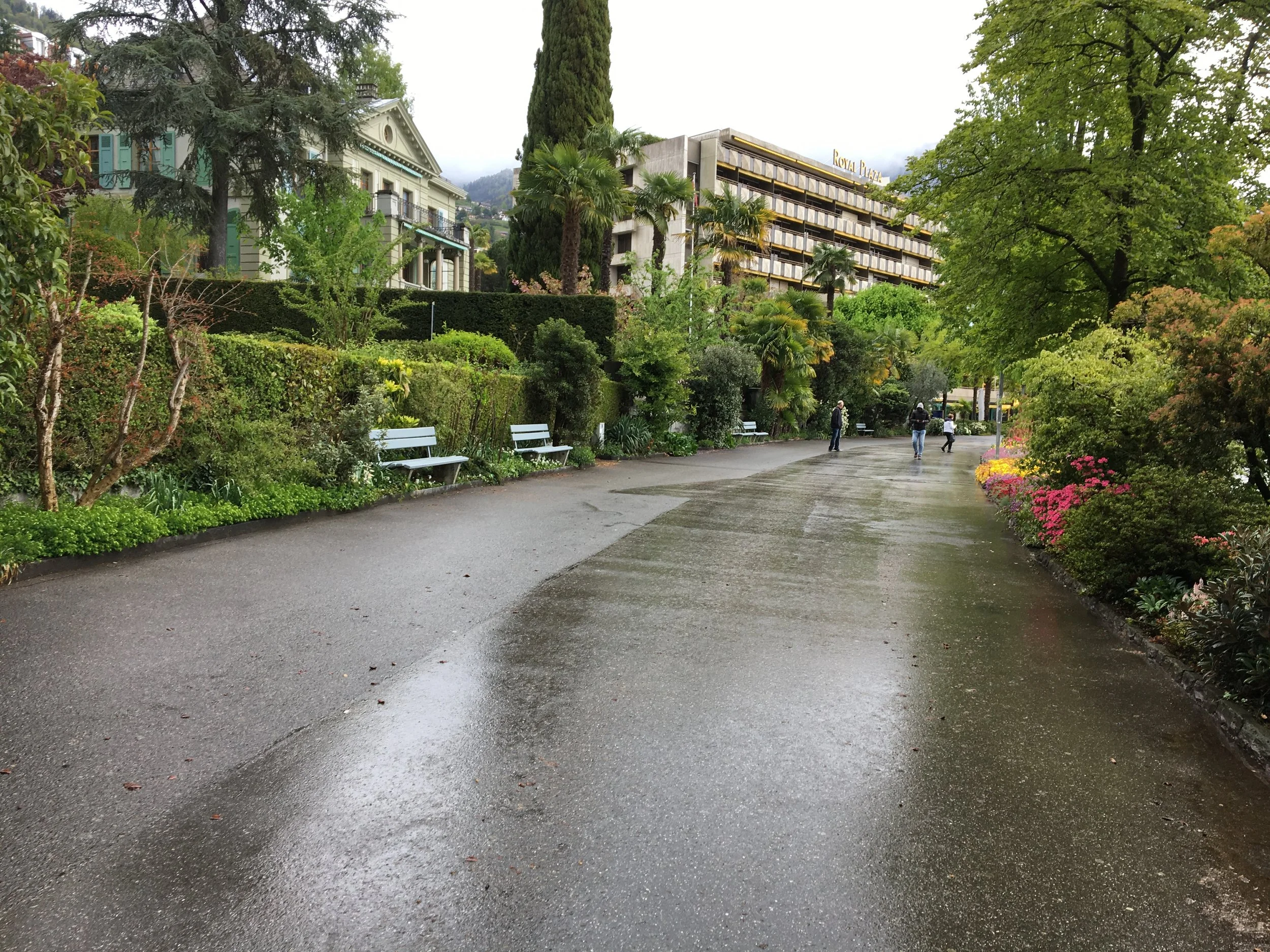 2019-04-28 10.30.56.jpg