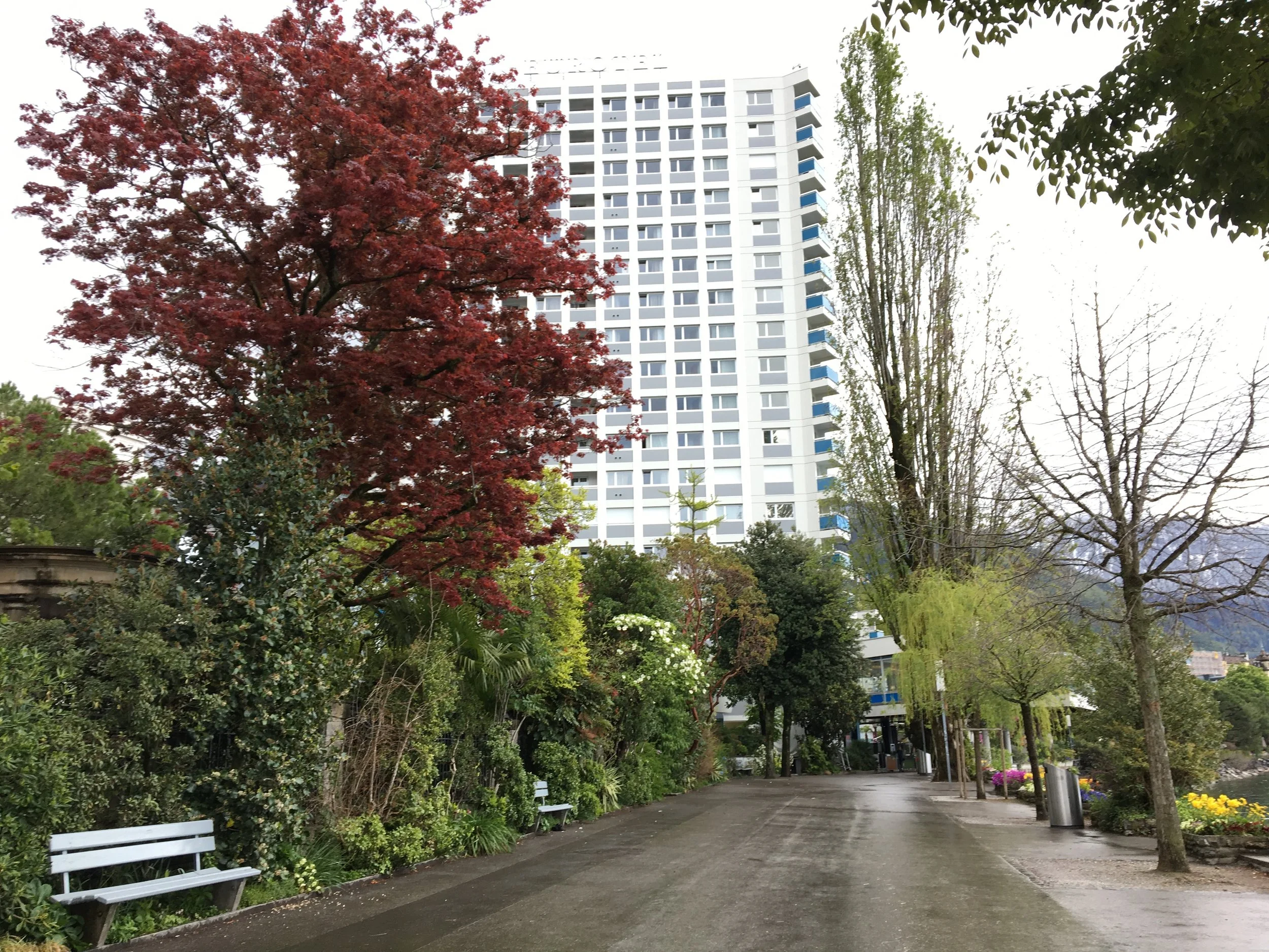 2019-04-28 10.42.26.jpg