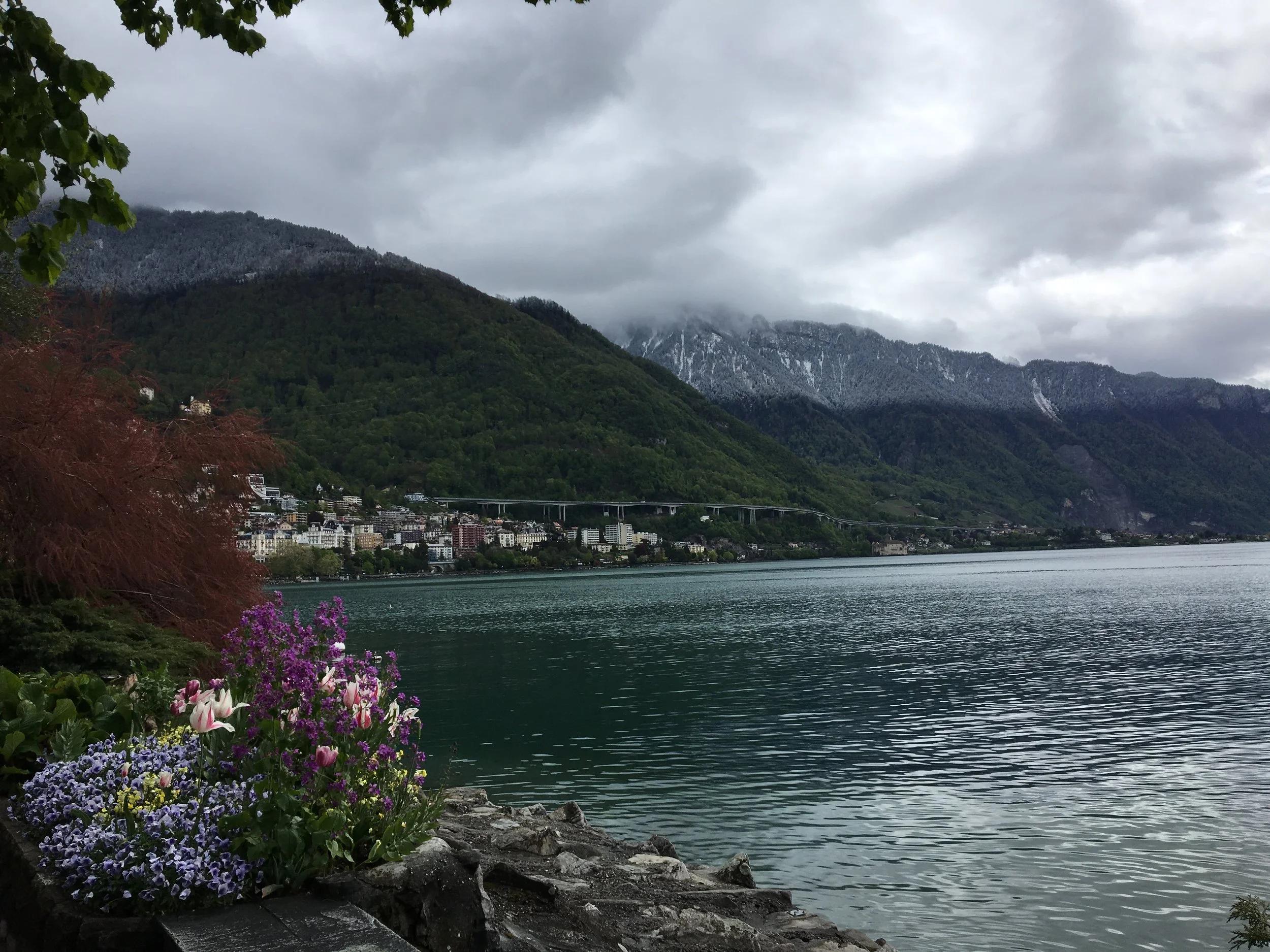 2019-04-28 11.01.48.jpg