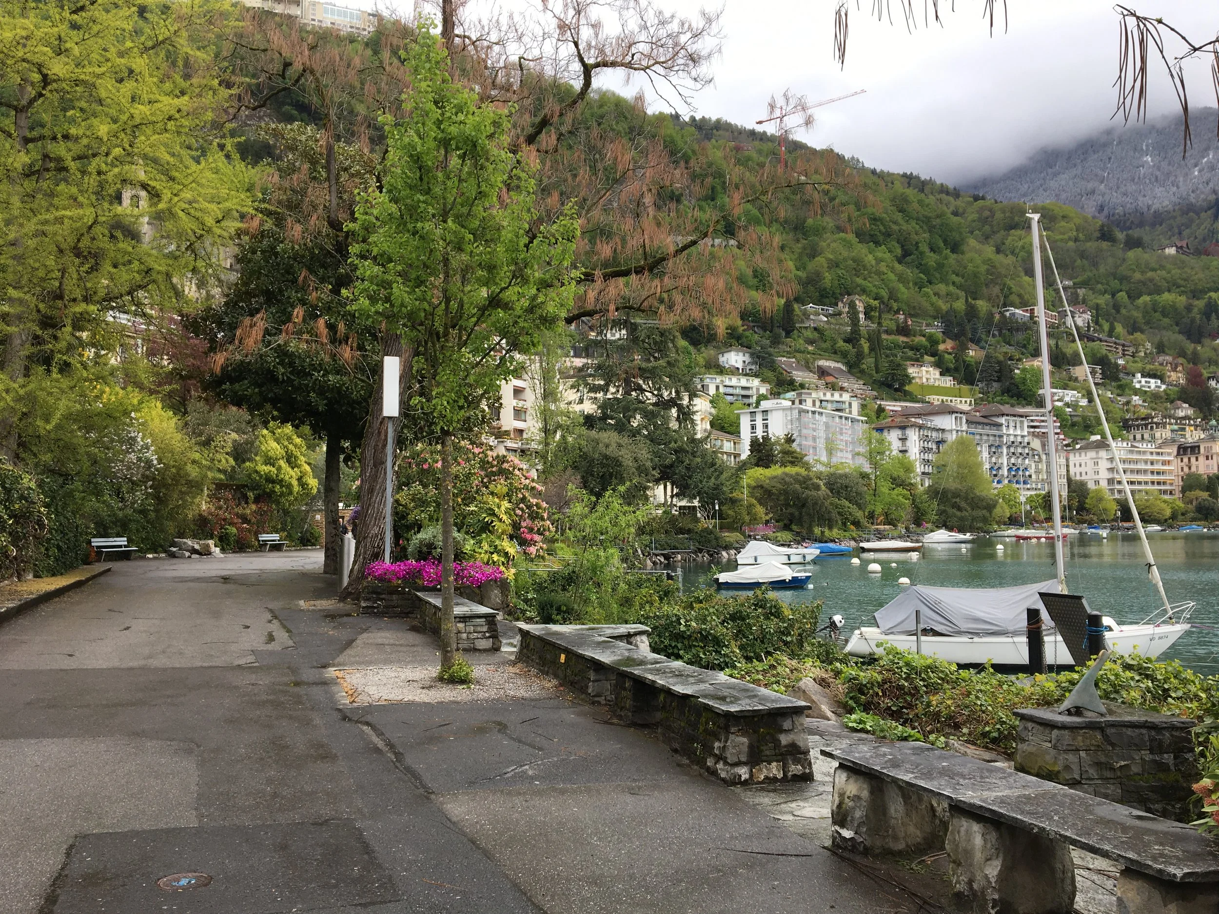 2019-04-28 11.07.35.jpg