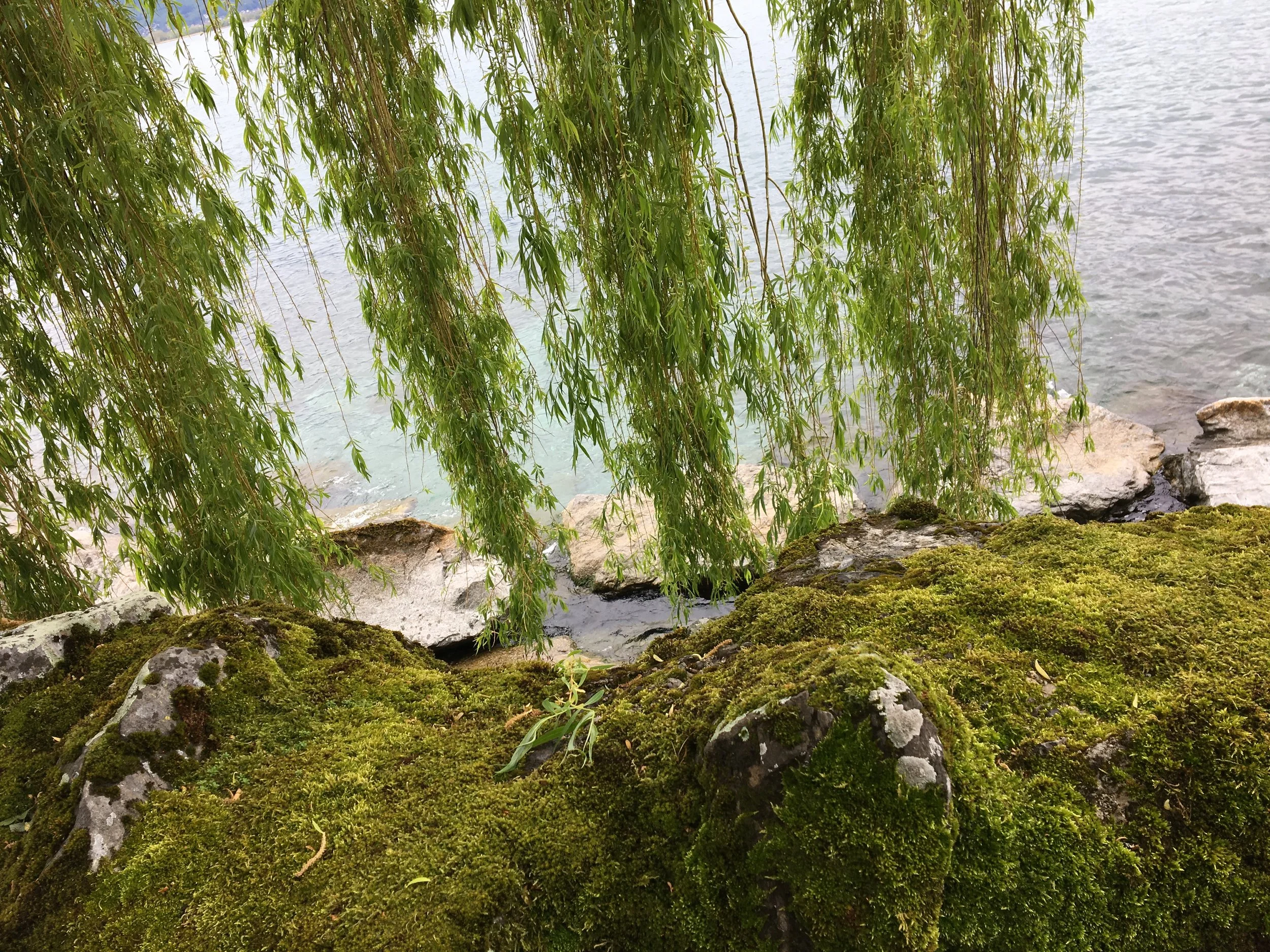 2019-04-28 12.06.56.jpg