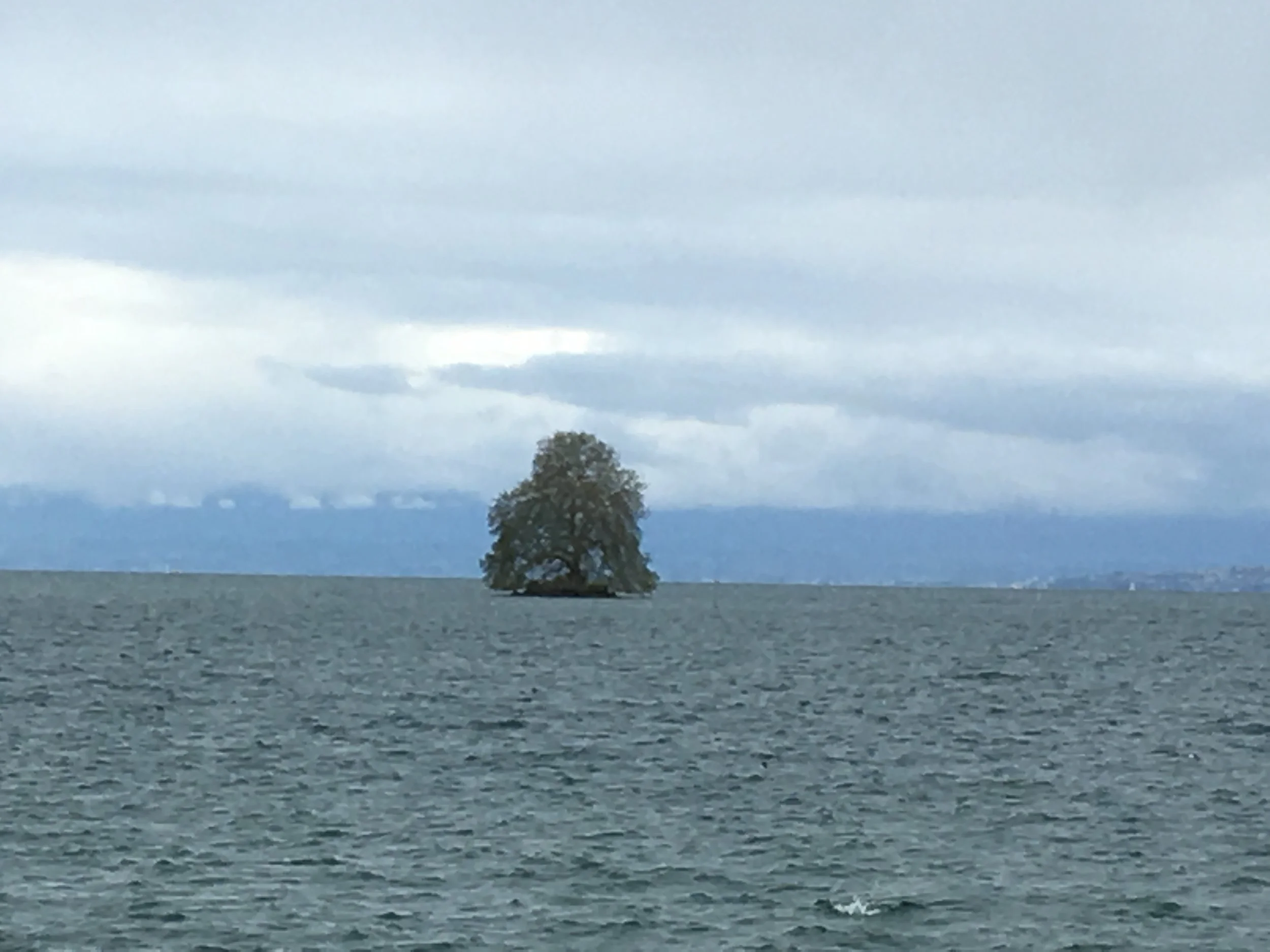 2019-04-28 12.44.32.jpg