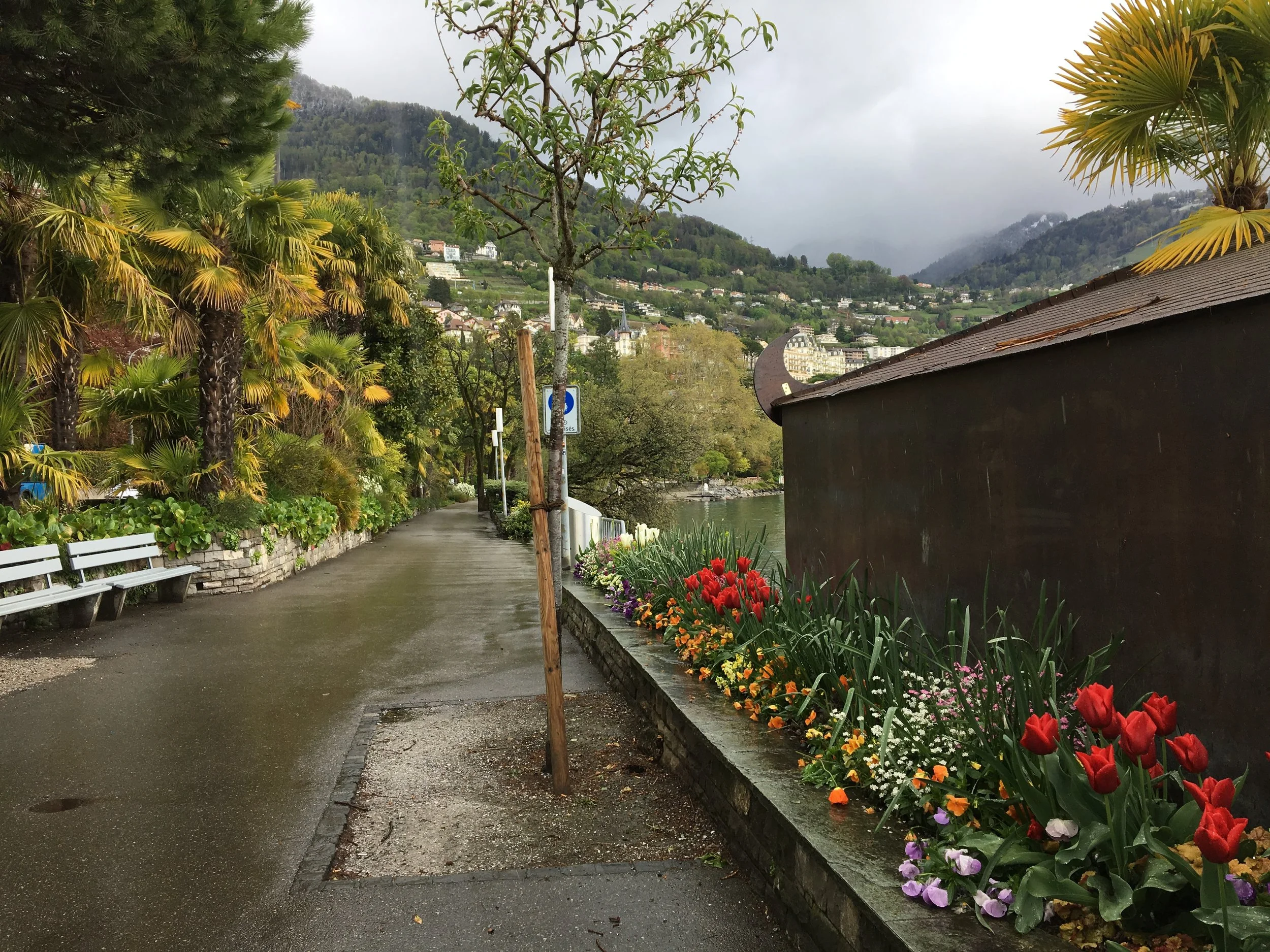 2019-04-28 10.22.13.jpg