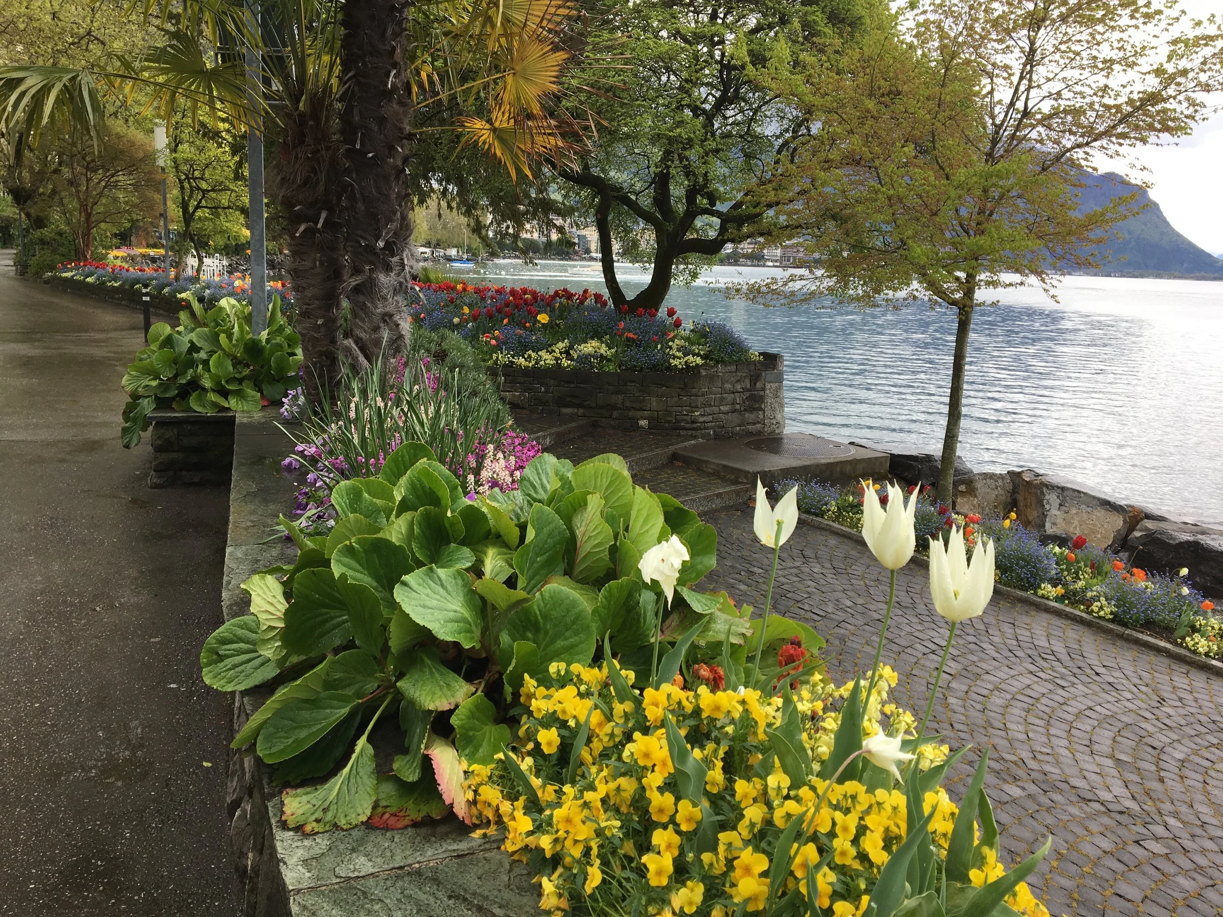 2019-04-28 10.28.26.jpg