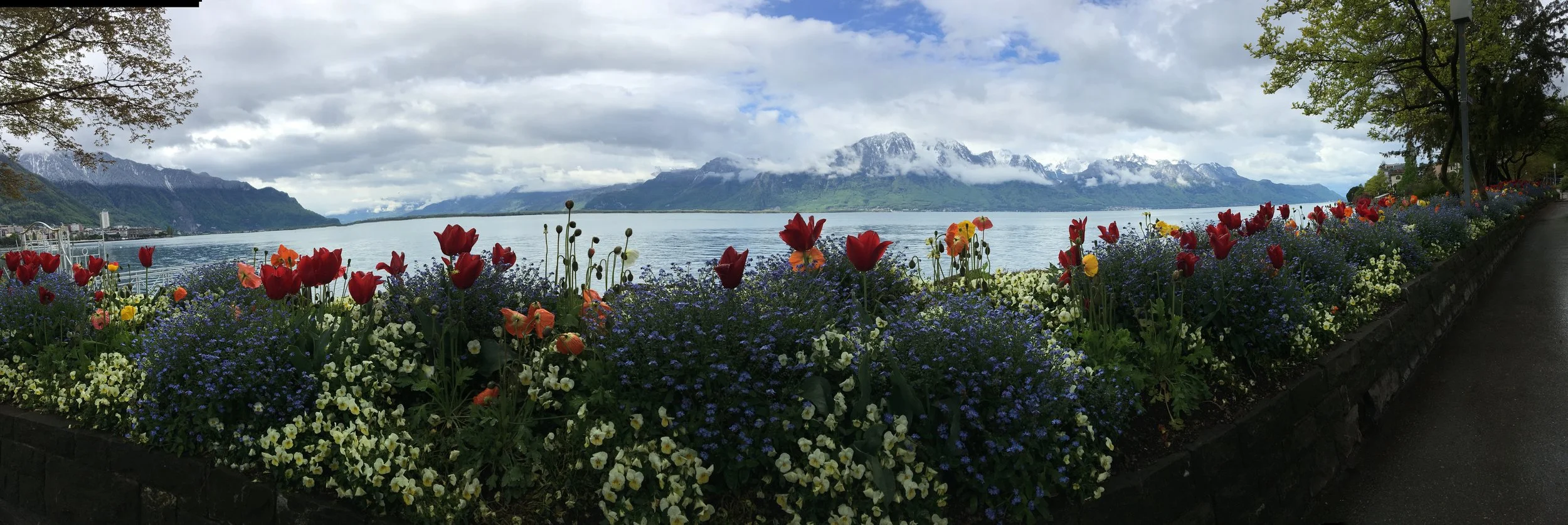 2019-04-28 10.29.59.jpg