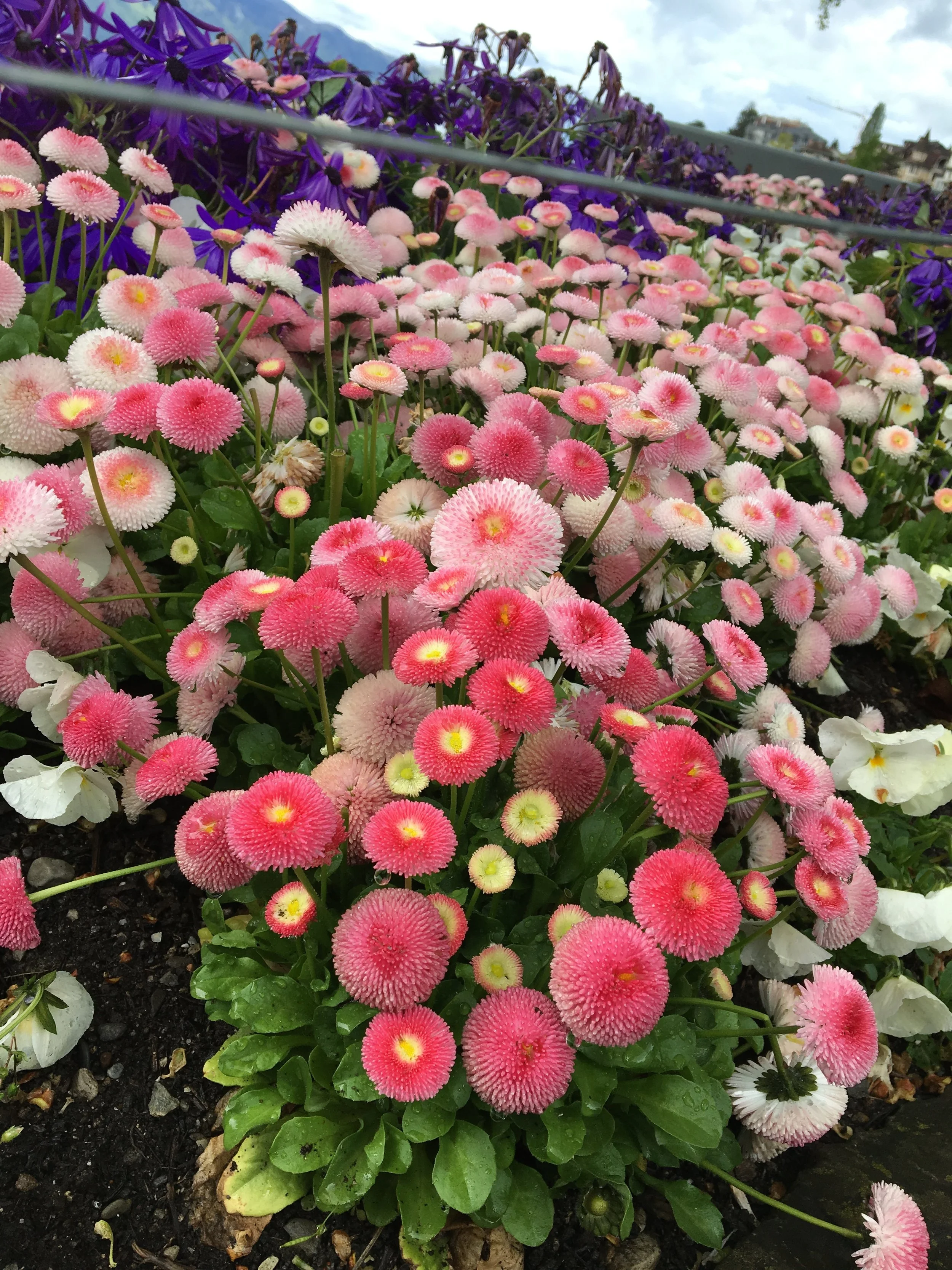 2019-04-28 10.33.09.jpg