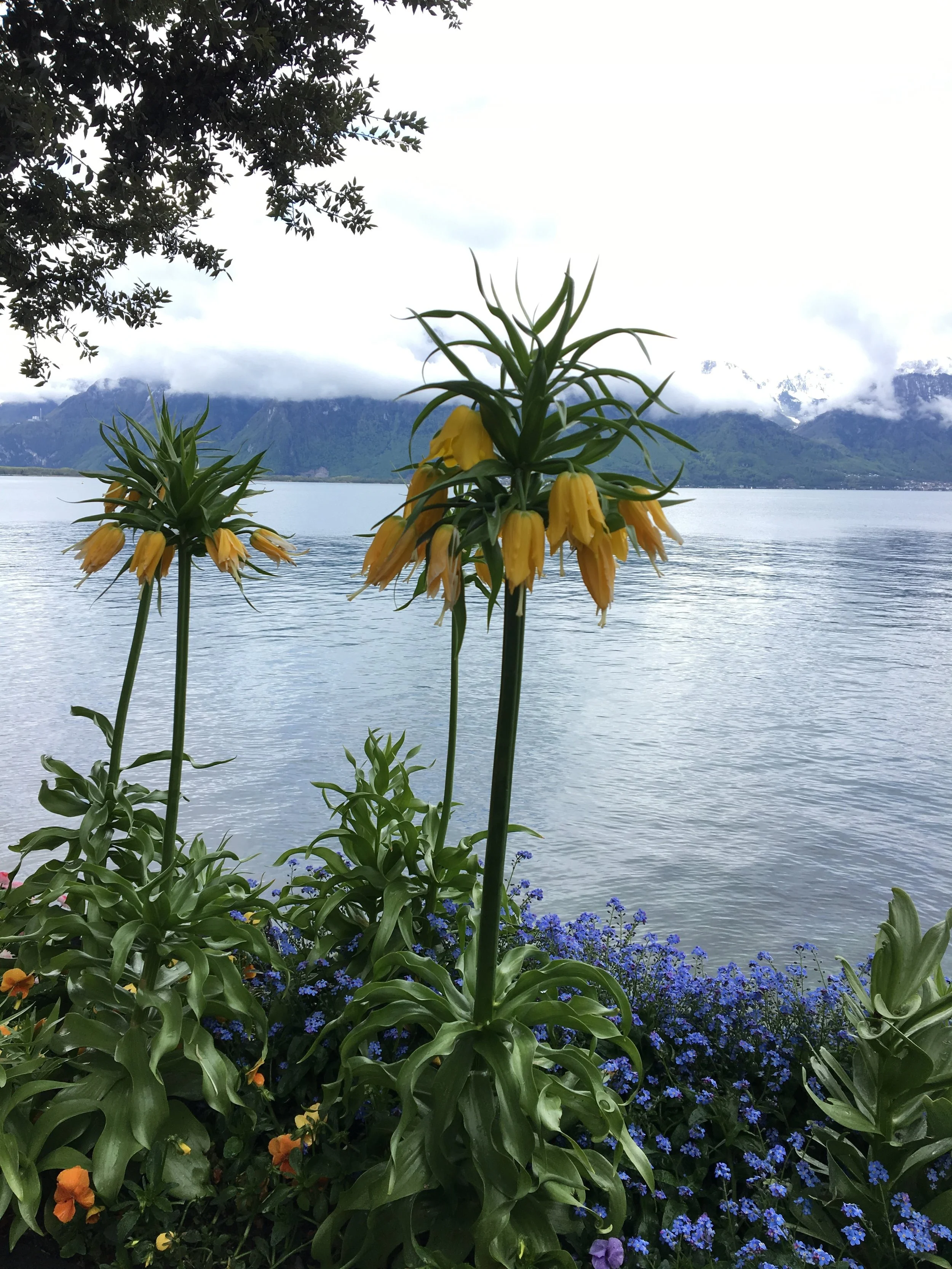 2019-04-28 10.44.48.jpg