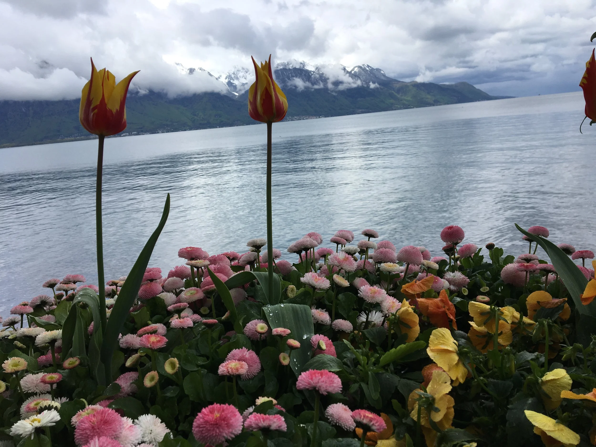 2019-04-28 10.44.55.jpg
