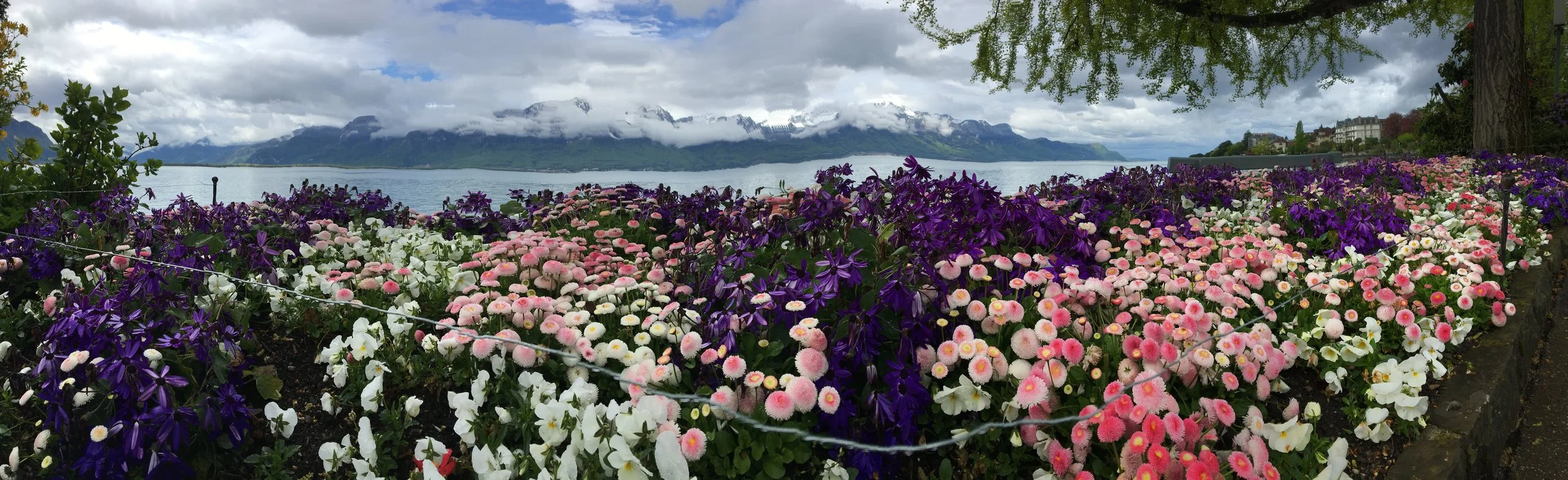 2019-04-28 10.32.50.jpg