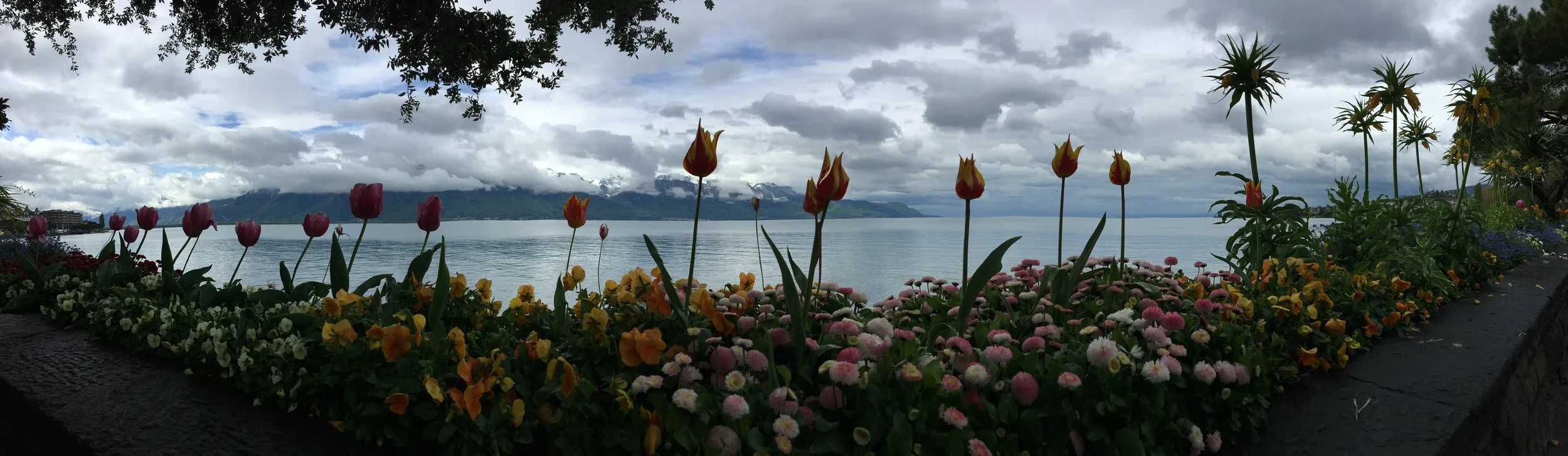 2019-04-28 10.45.05.jpg