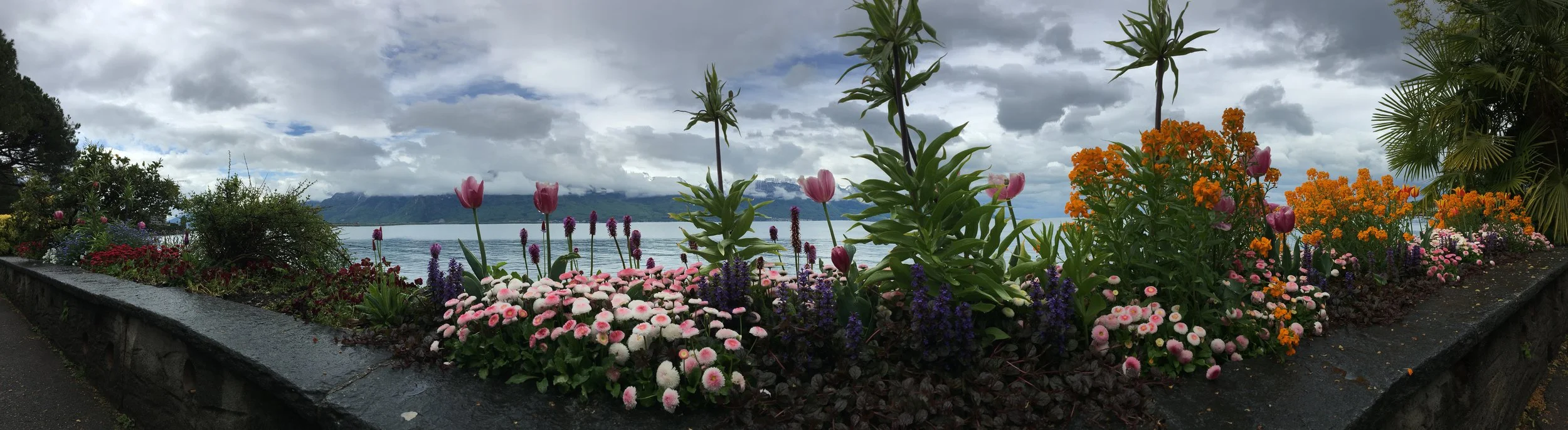 2019-04-28 10.45.55.jpg