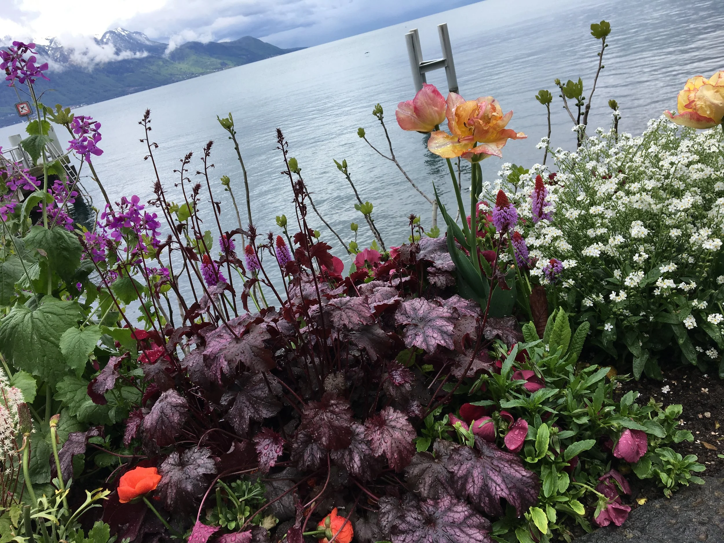 2019-04-28 10.48.43.jpg