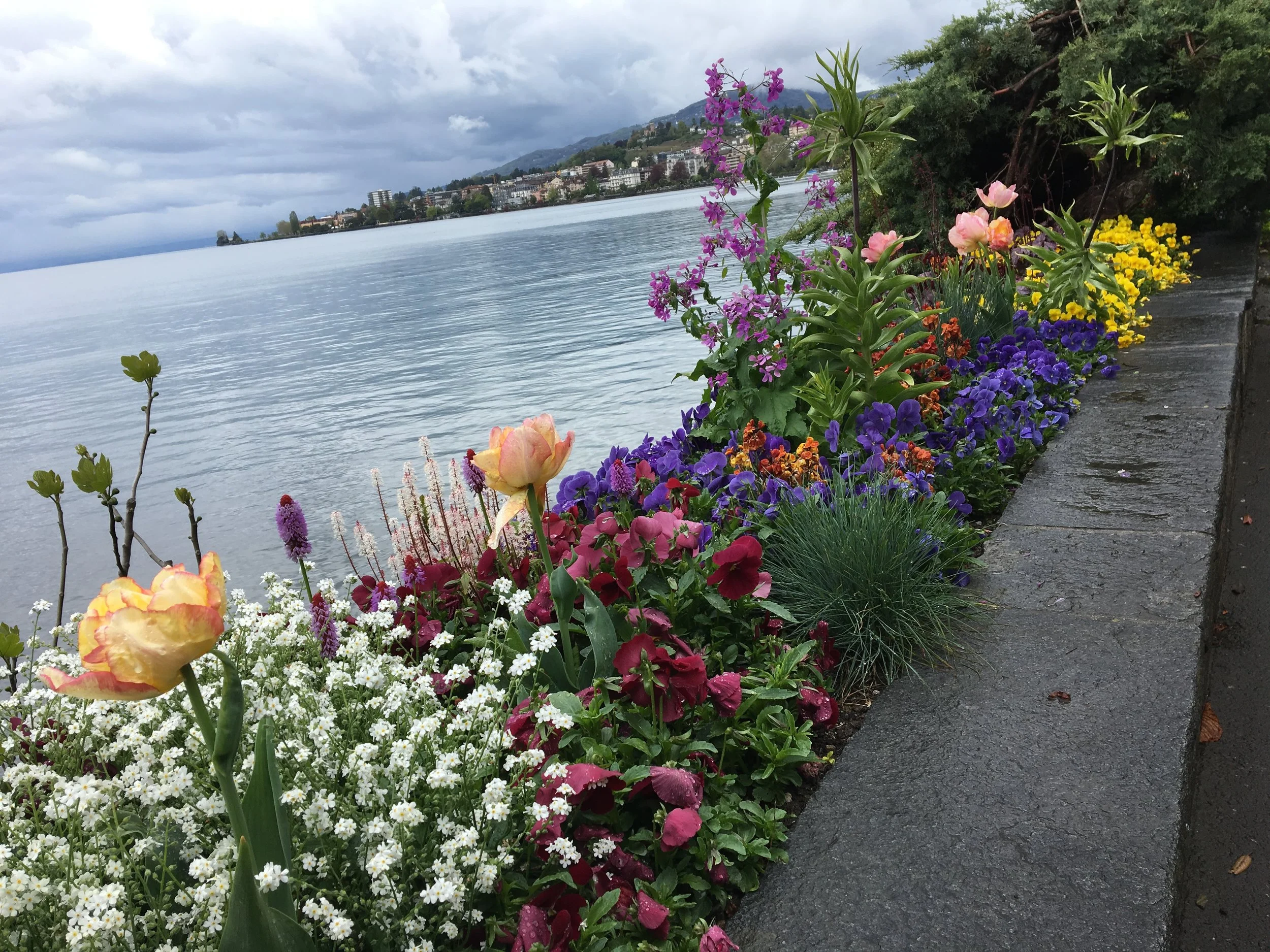 2019-04-28 10.48.47.jpg
