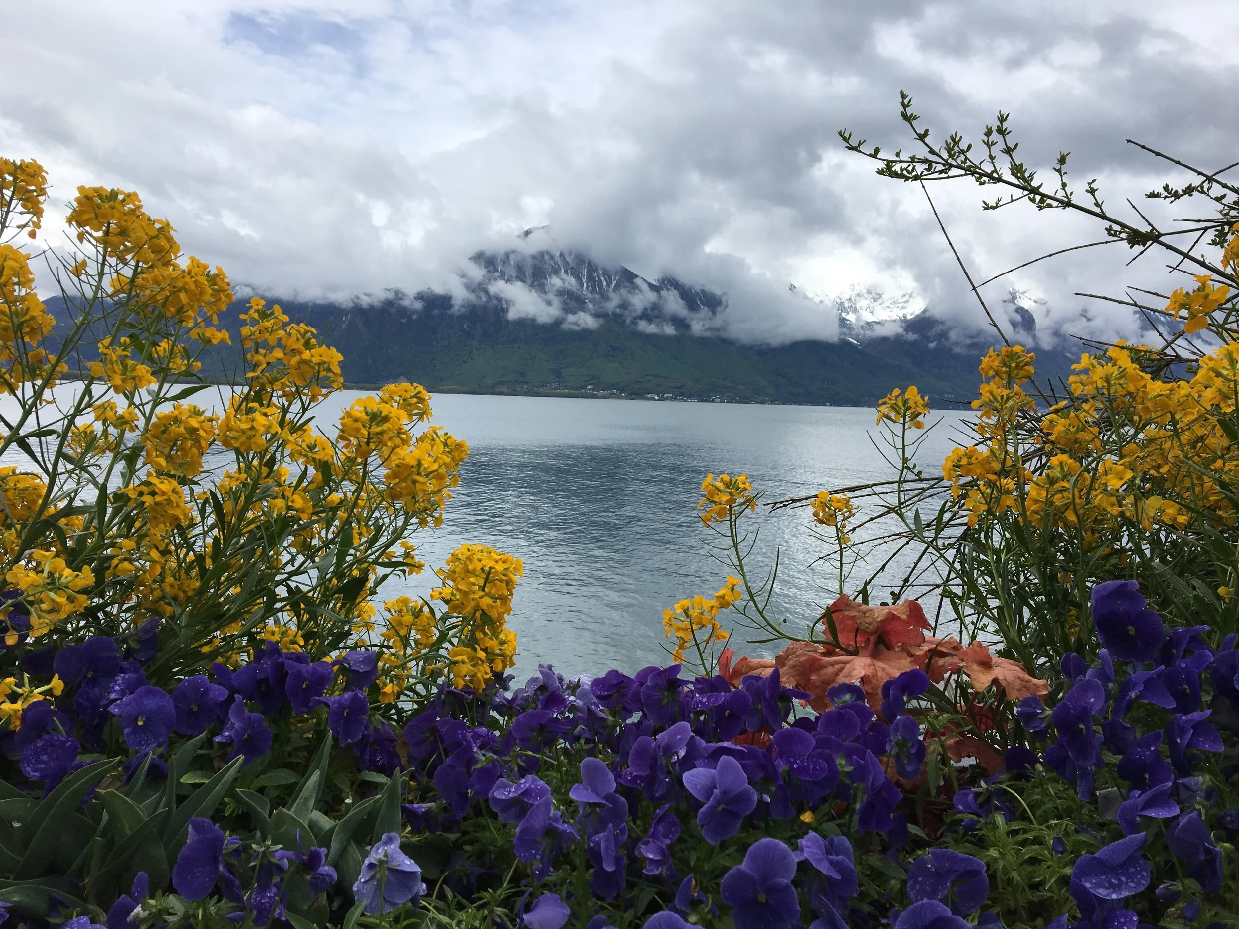 2019-04-28 10.57.12.jpg