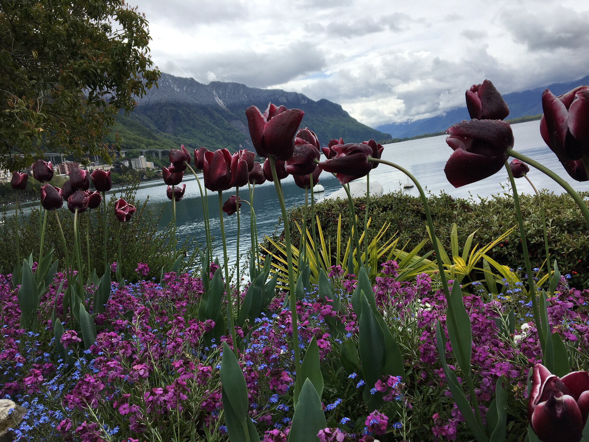 2019-04-28 11.10.34.jpg