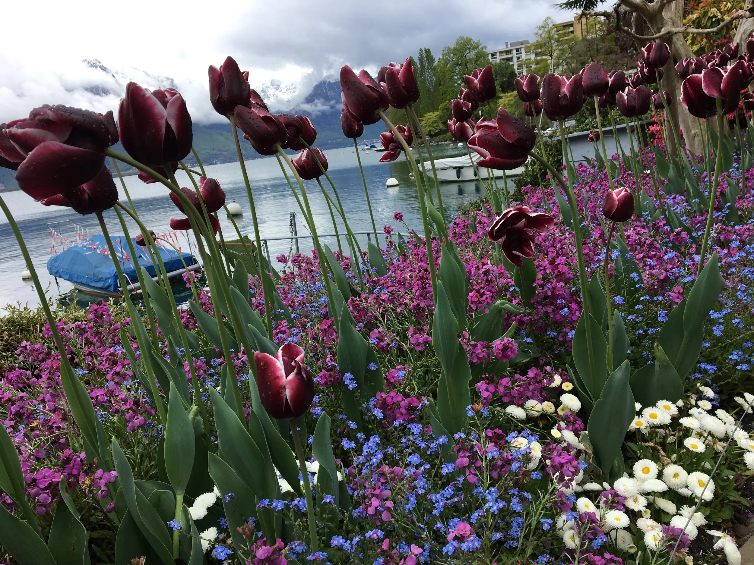 2019-04-28 11.10.30.jpg