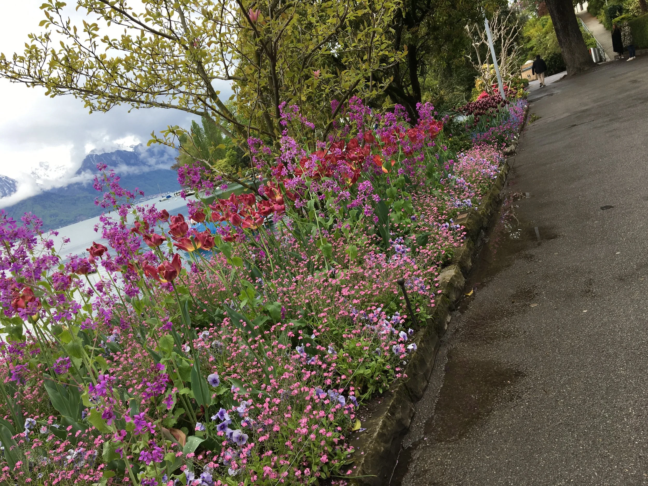 2019-04-28 11.11.16.jpg