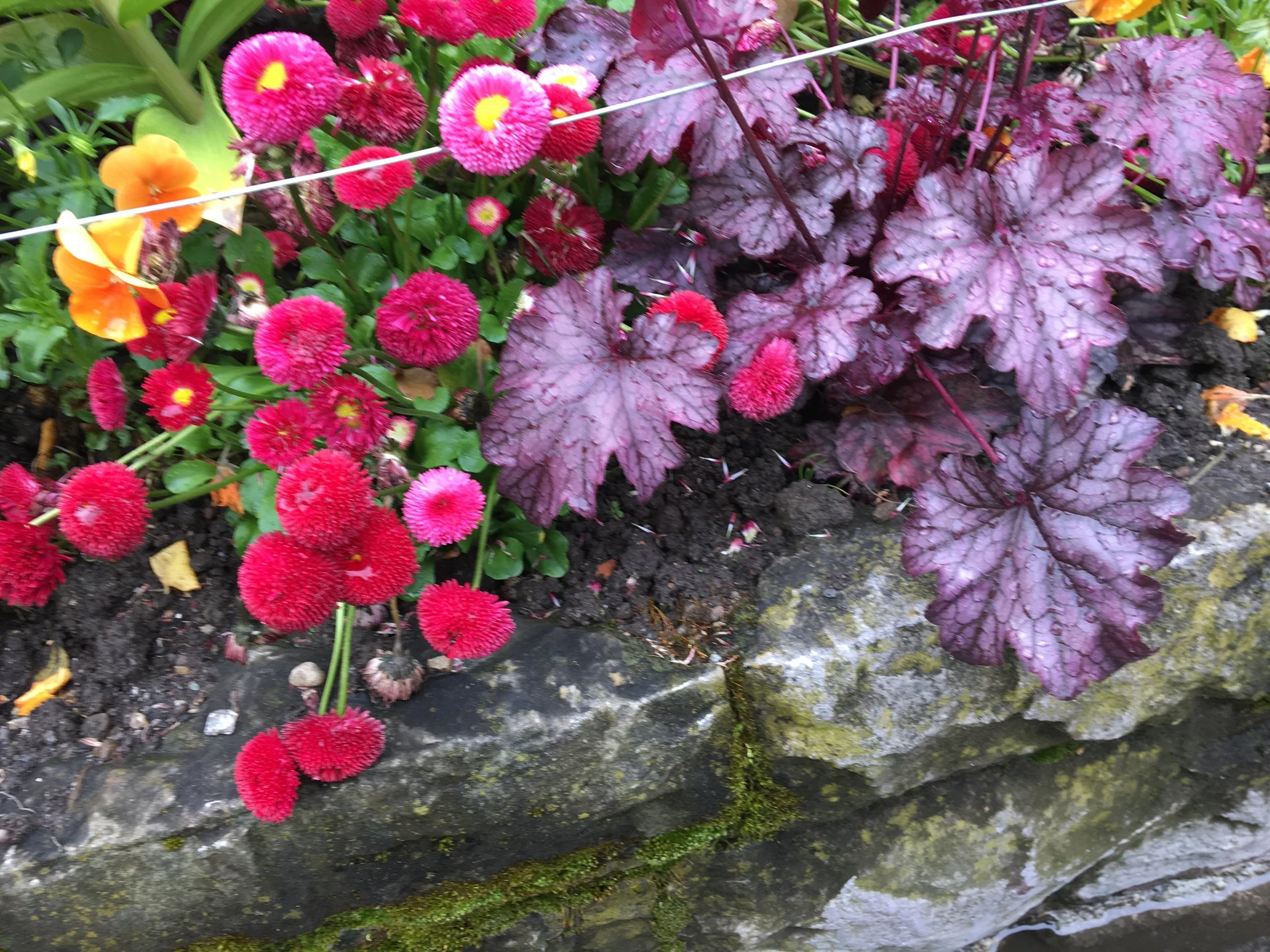 2019-04-28 11.12.11.jpg