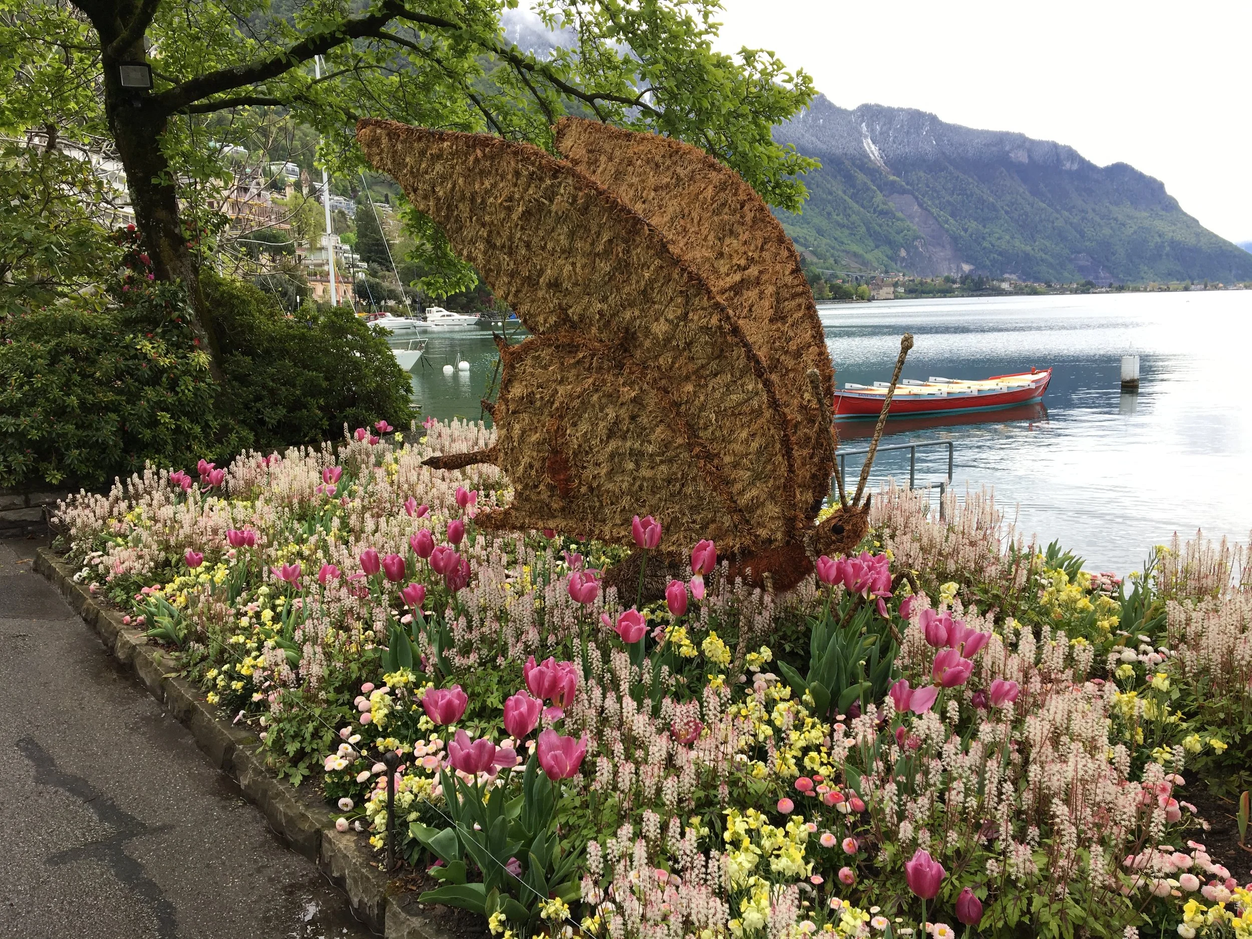 2019-04-28 11.13.27.jpg