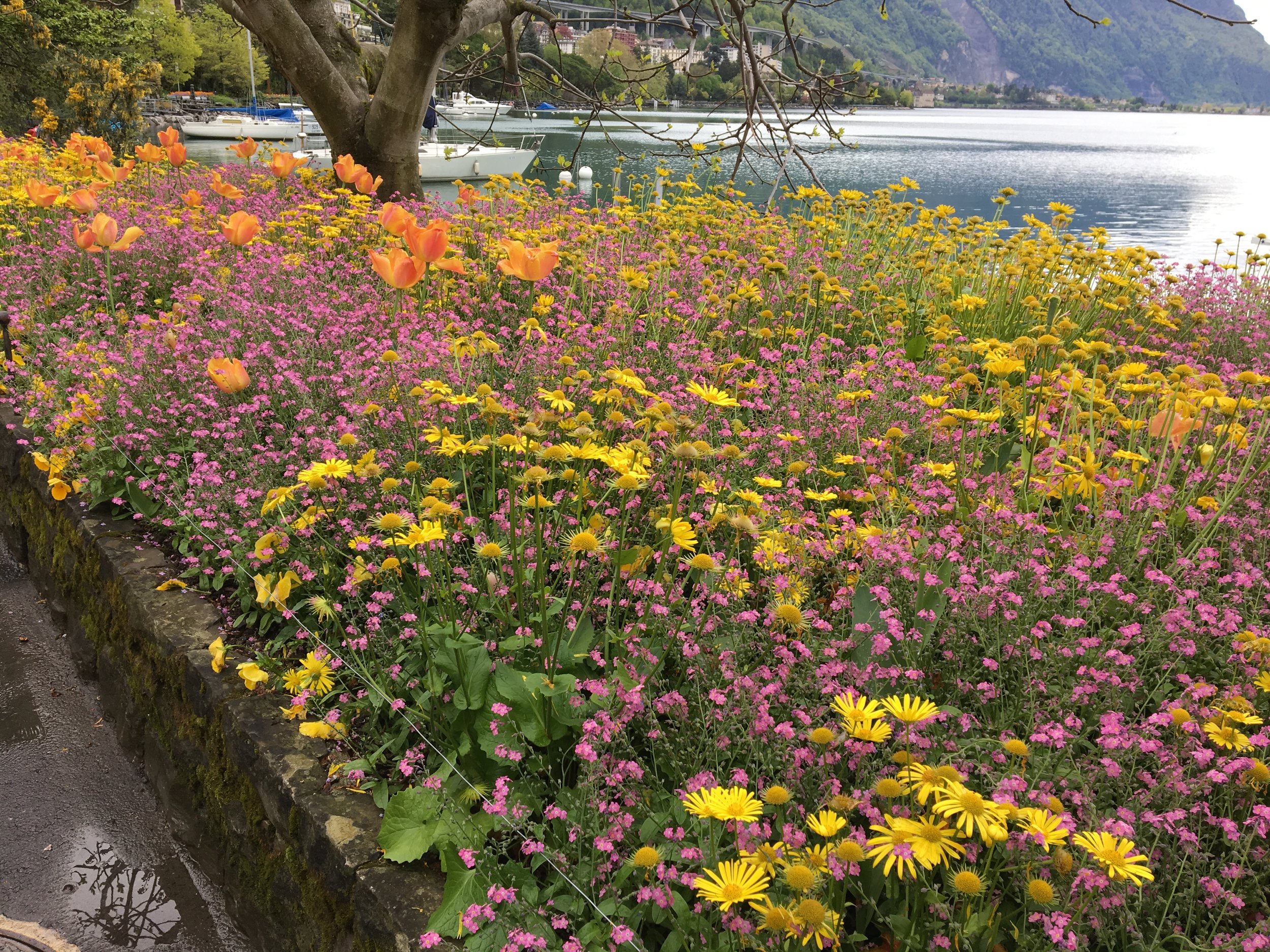 2019-04-28 11.13.51.jpg