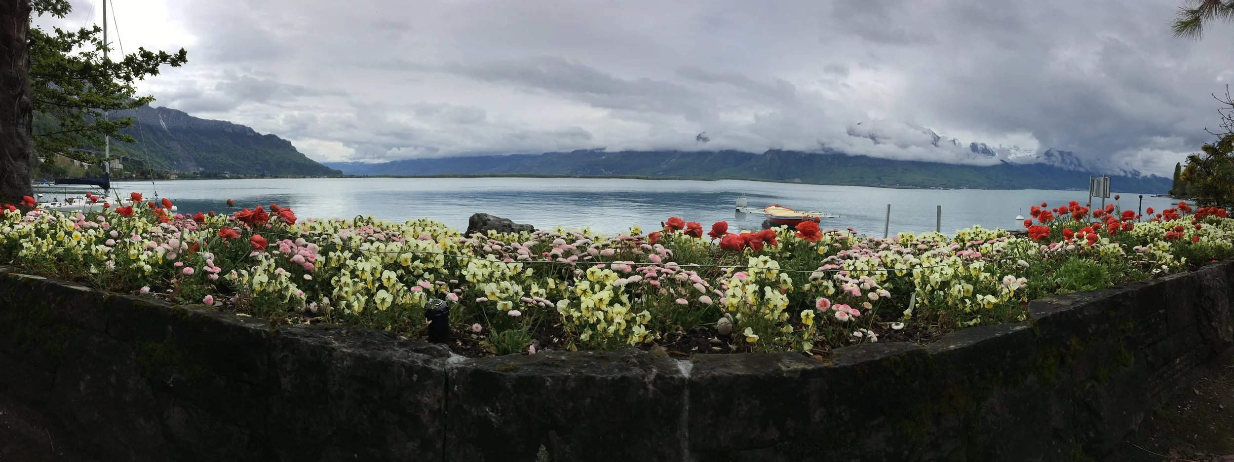 2019-04-28 11.14.36.jpg