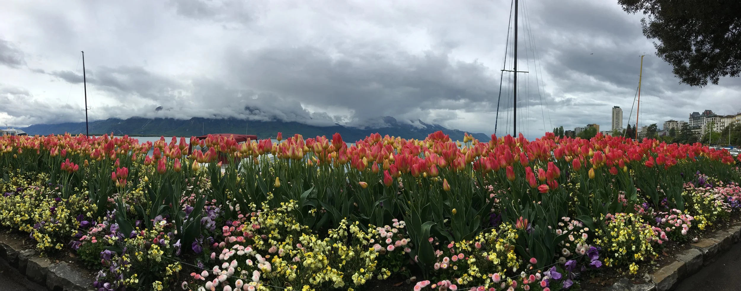 2019-04-28 11.19.45.jpg