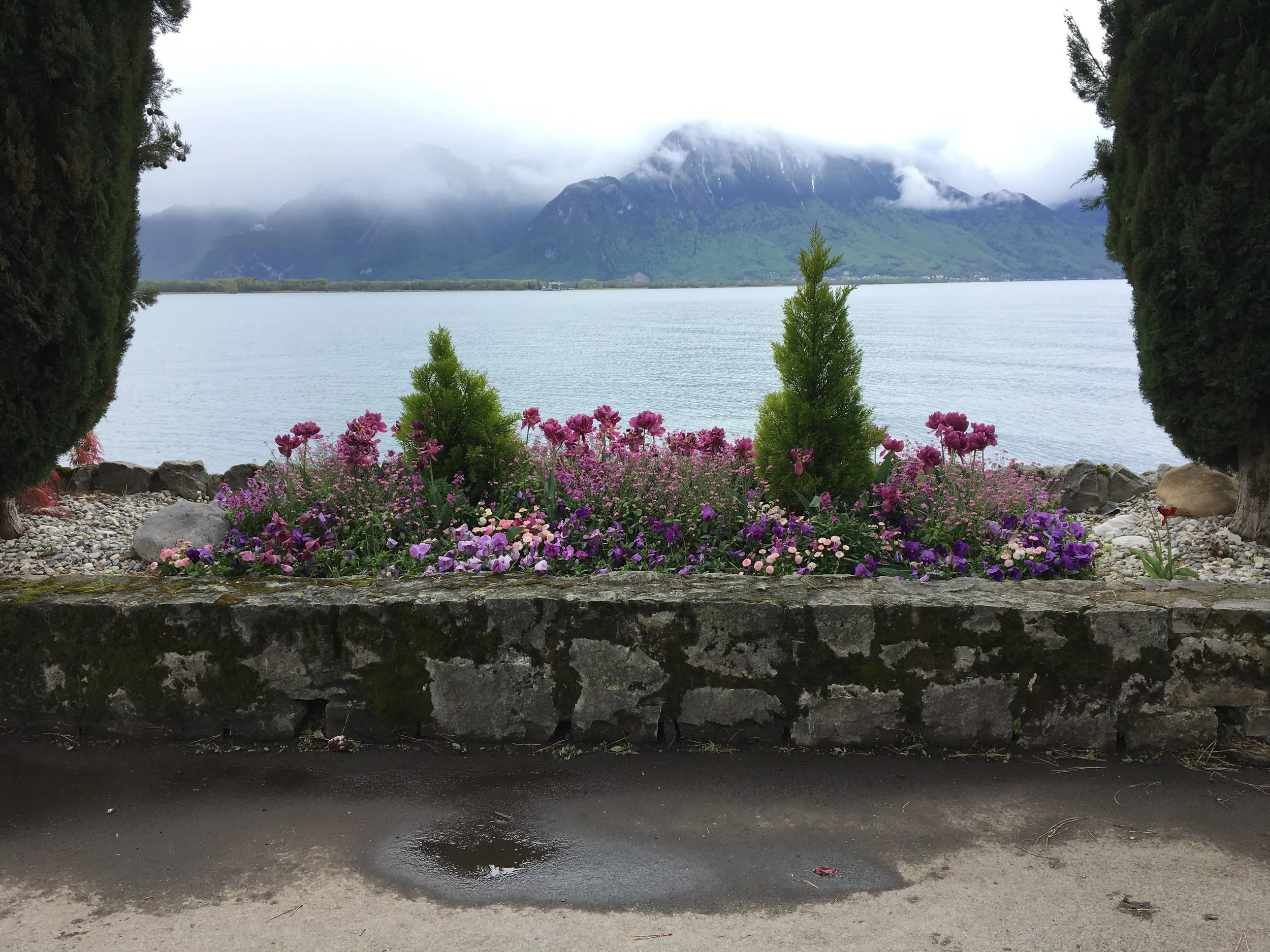 2019-04-28 11.44.47.jpg