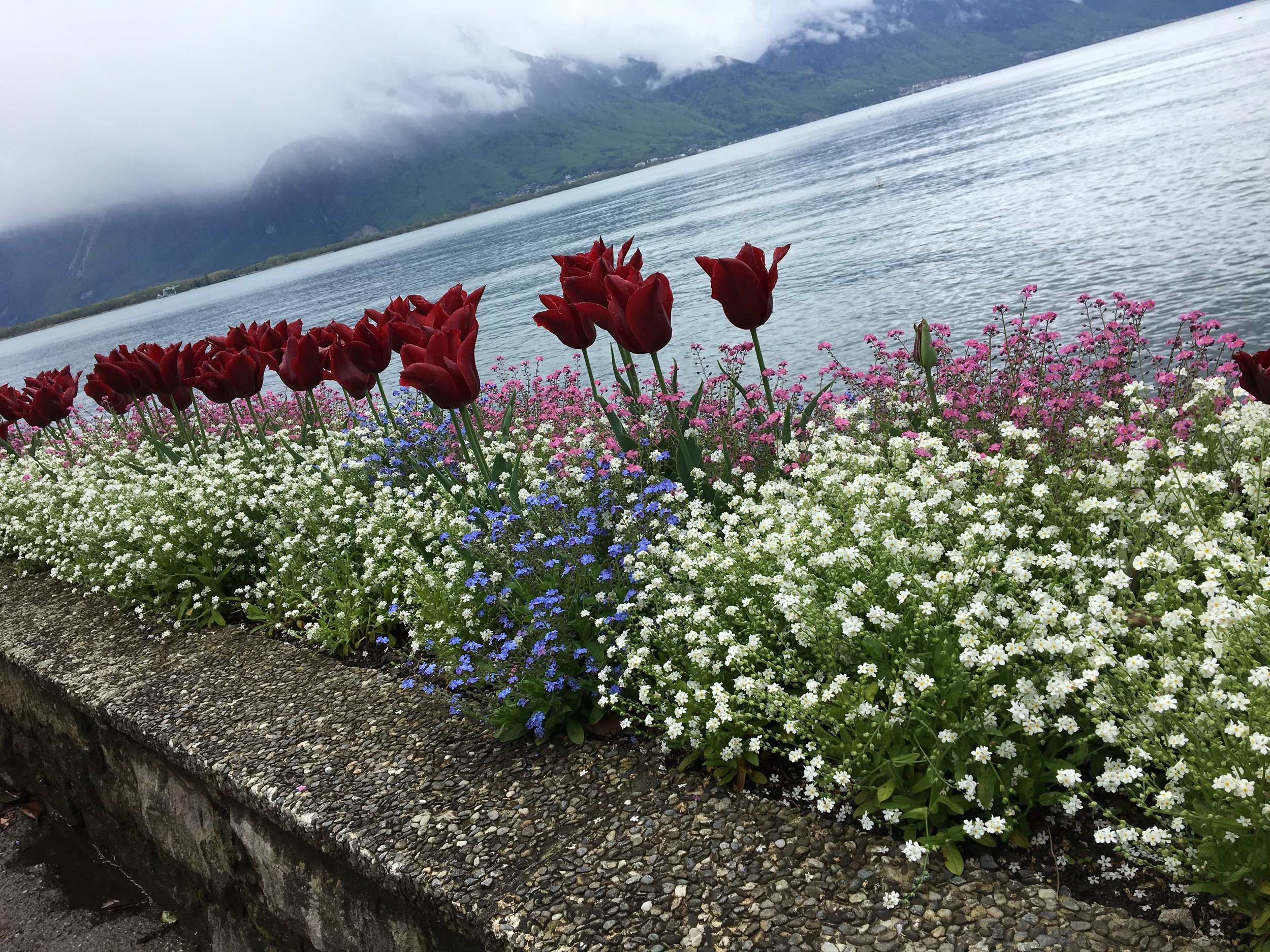 2019-04-28 11.36.37.jpg