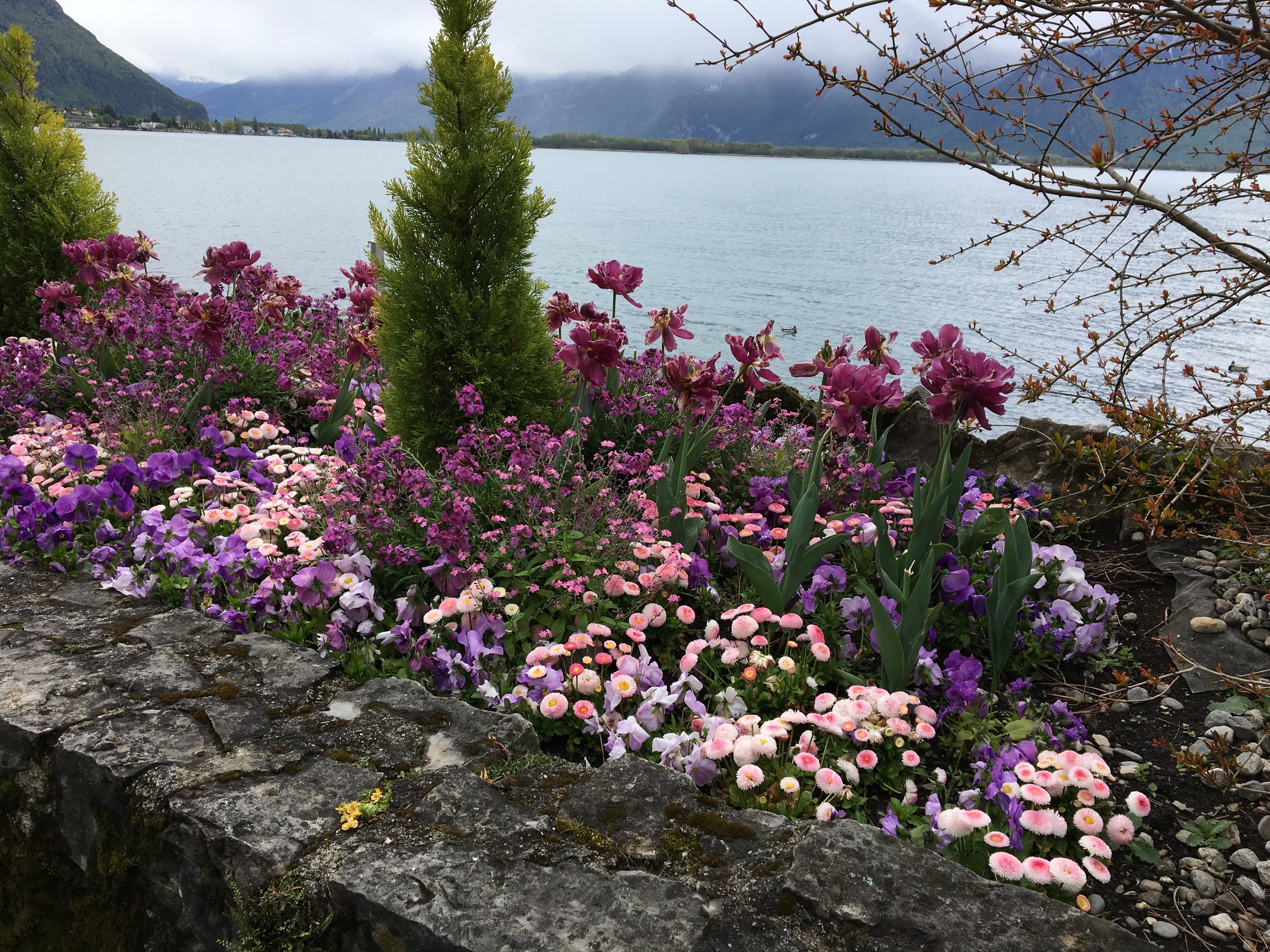 2019-04-28 11.45.12.jpg