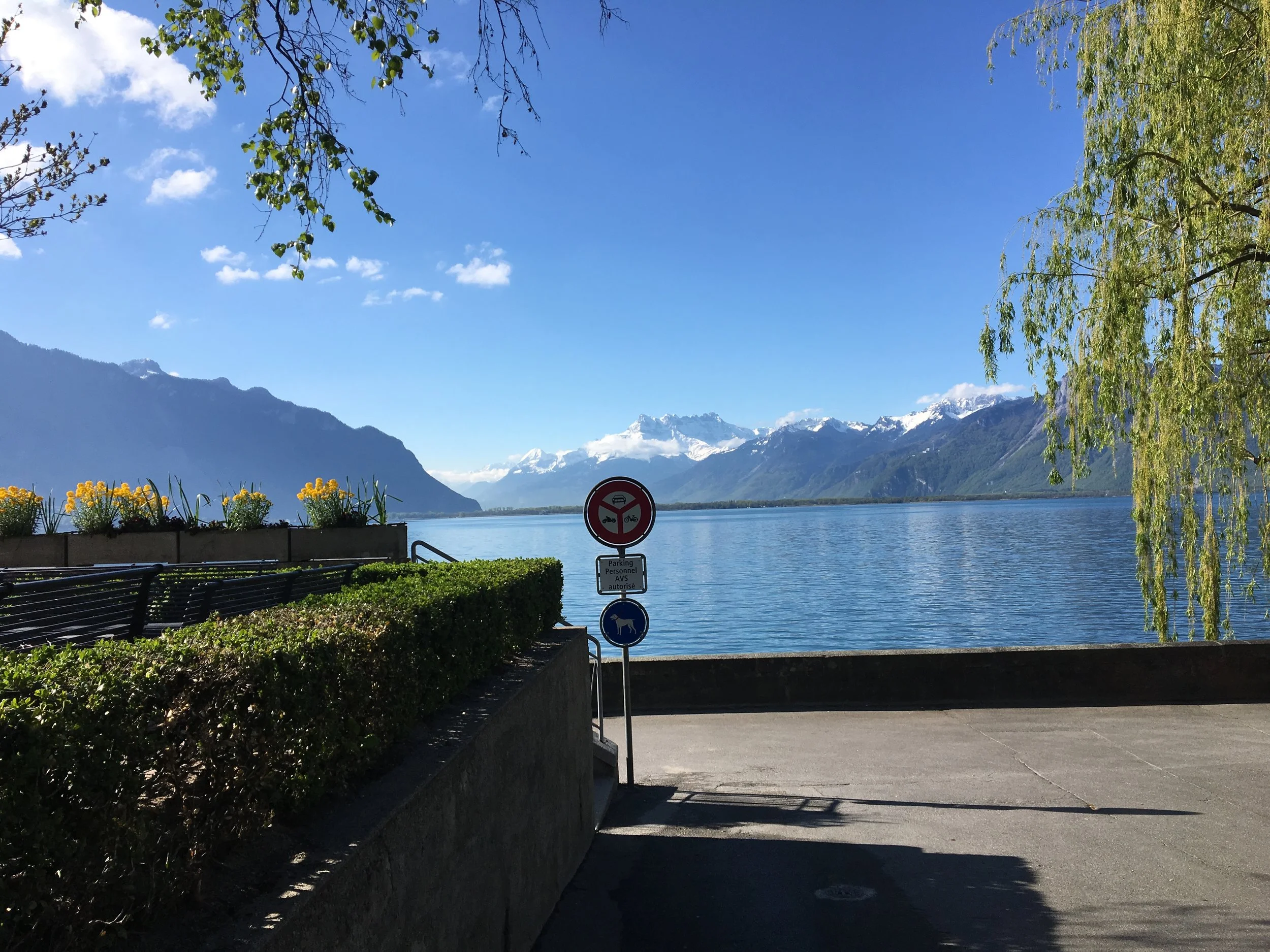 2019-04-30 09.30.27.jpg