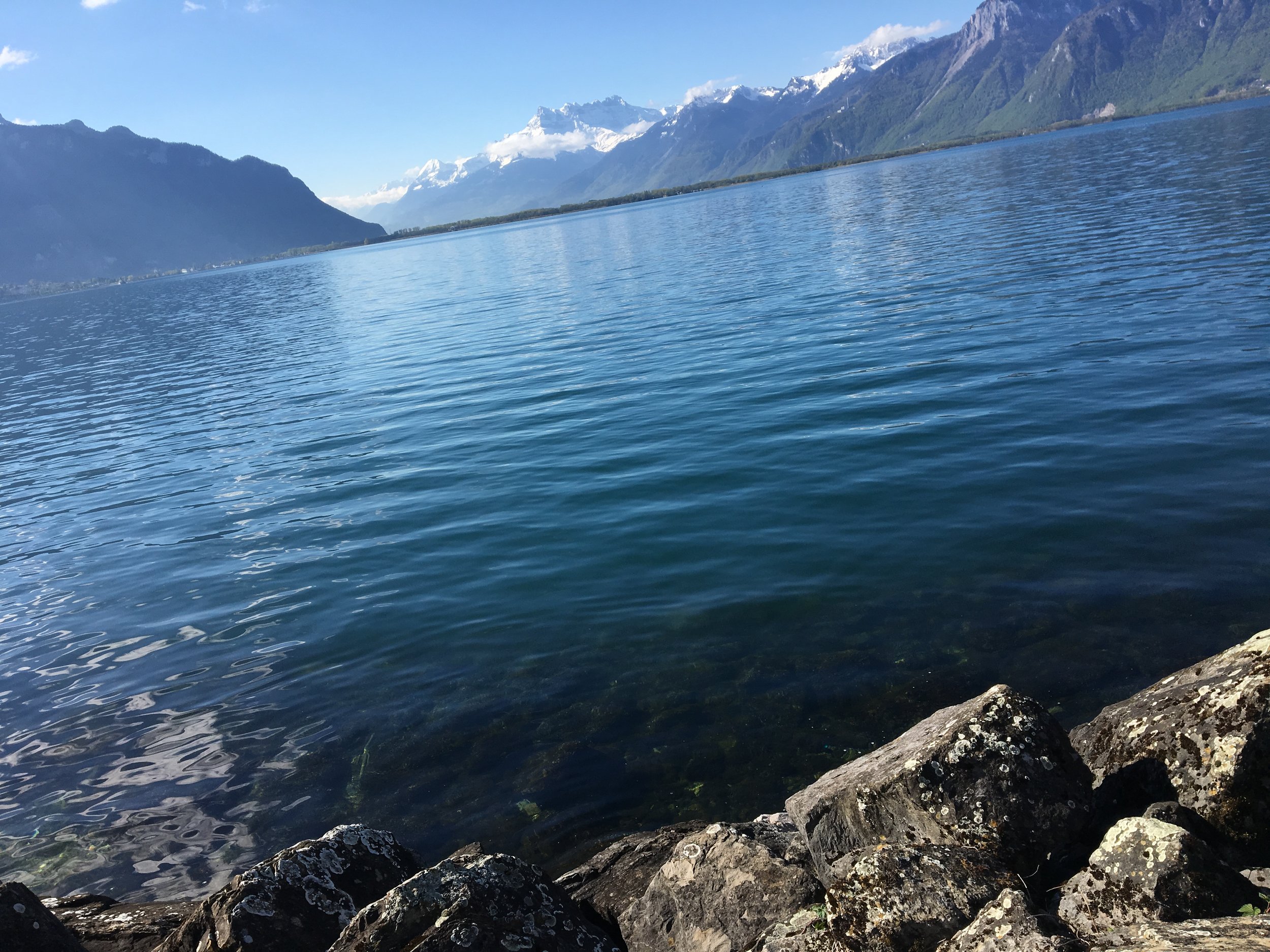 2019-04-30 09.31.07.jpg