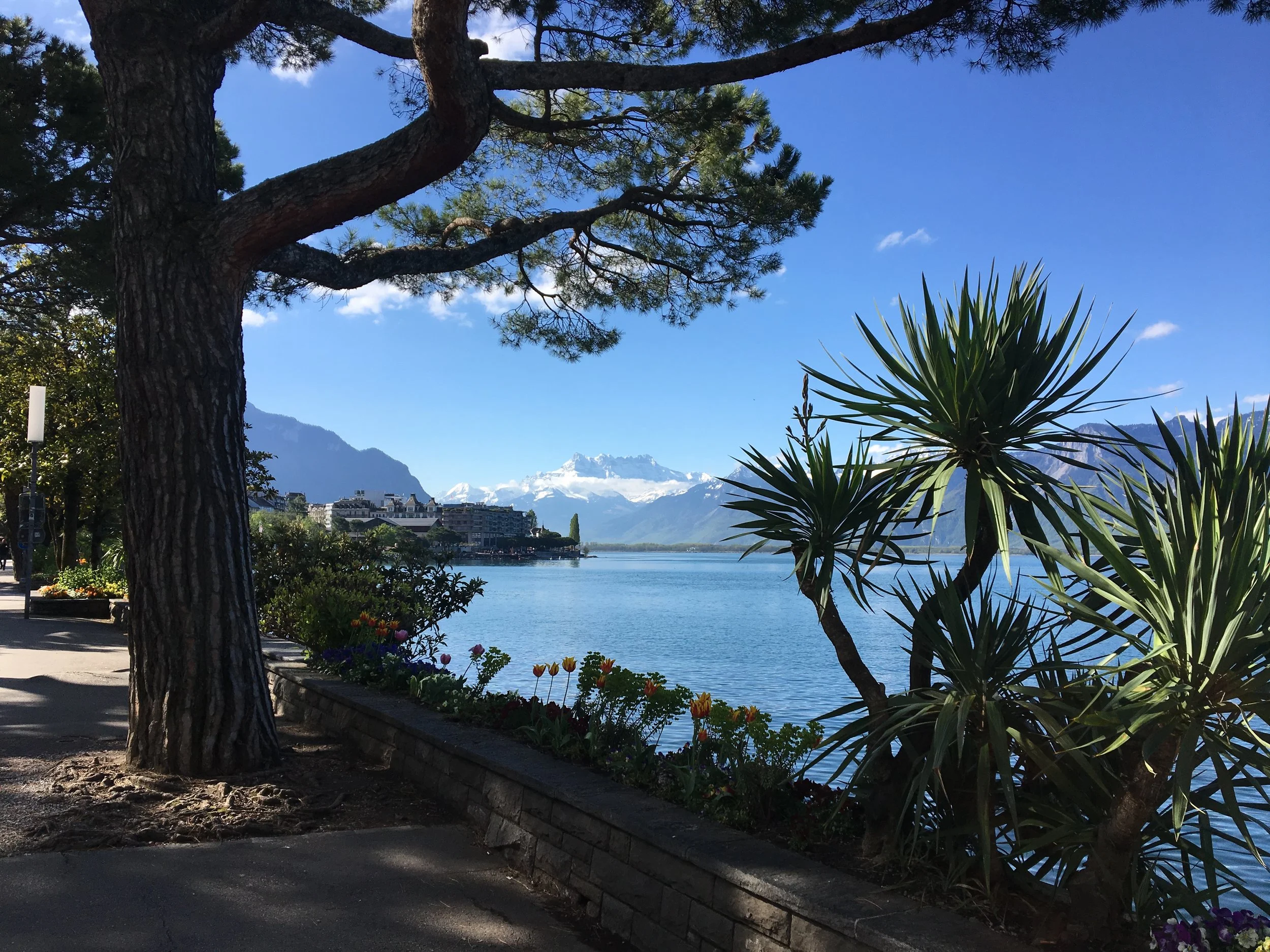 2019-04-30 09.47.13.jpg