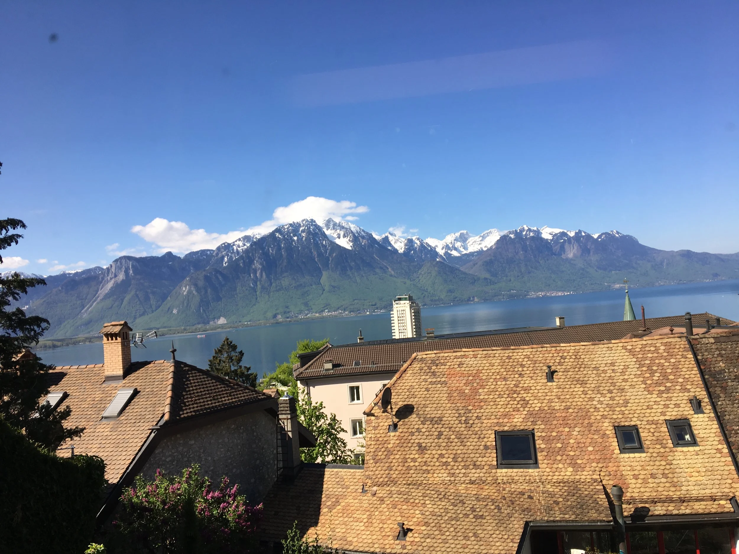 2019-04-30 10.22.23.jpg