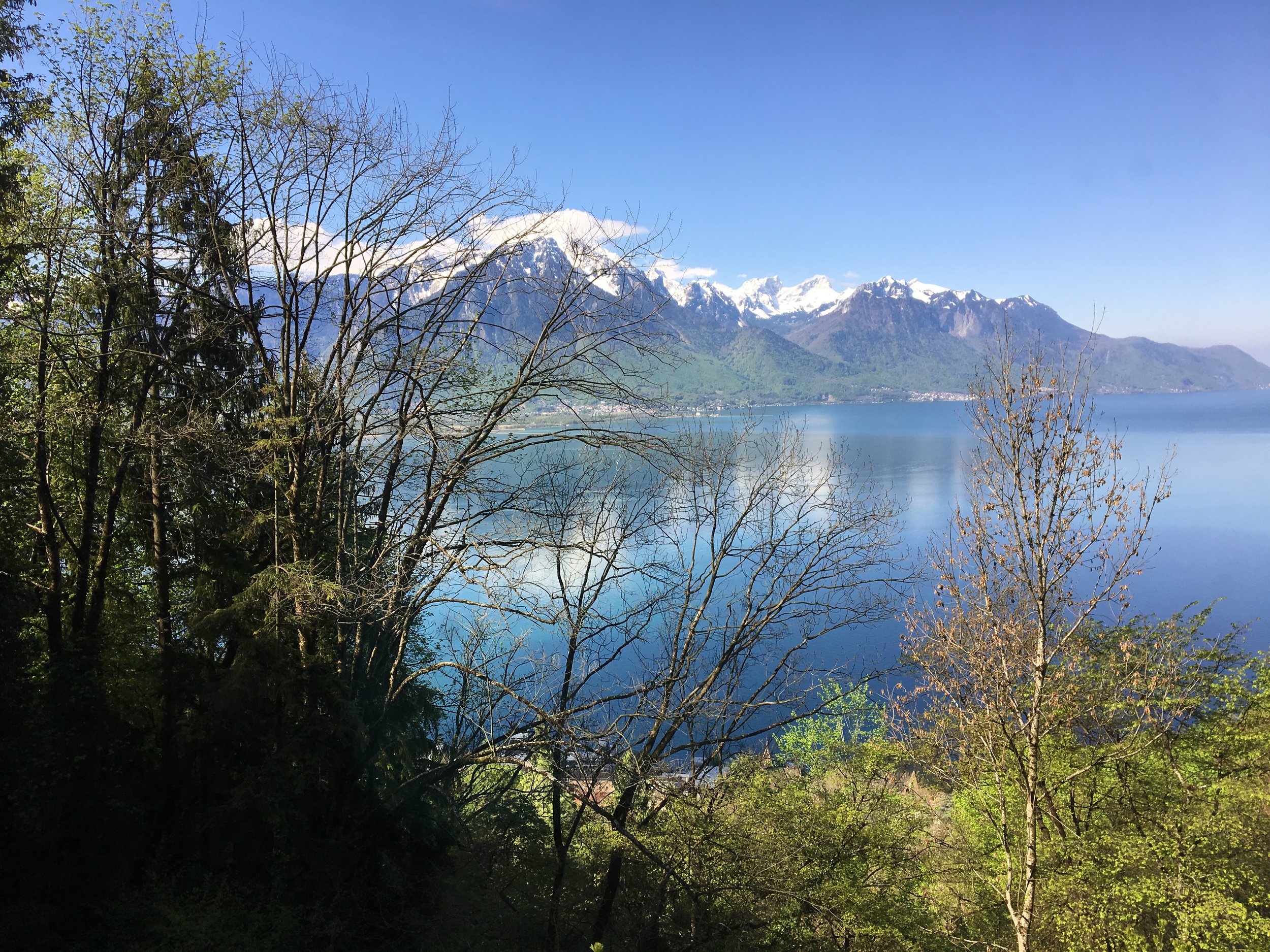 2019-04-30 10.24.57.jpg