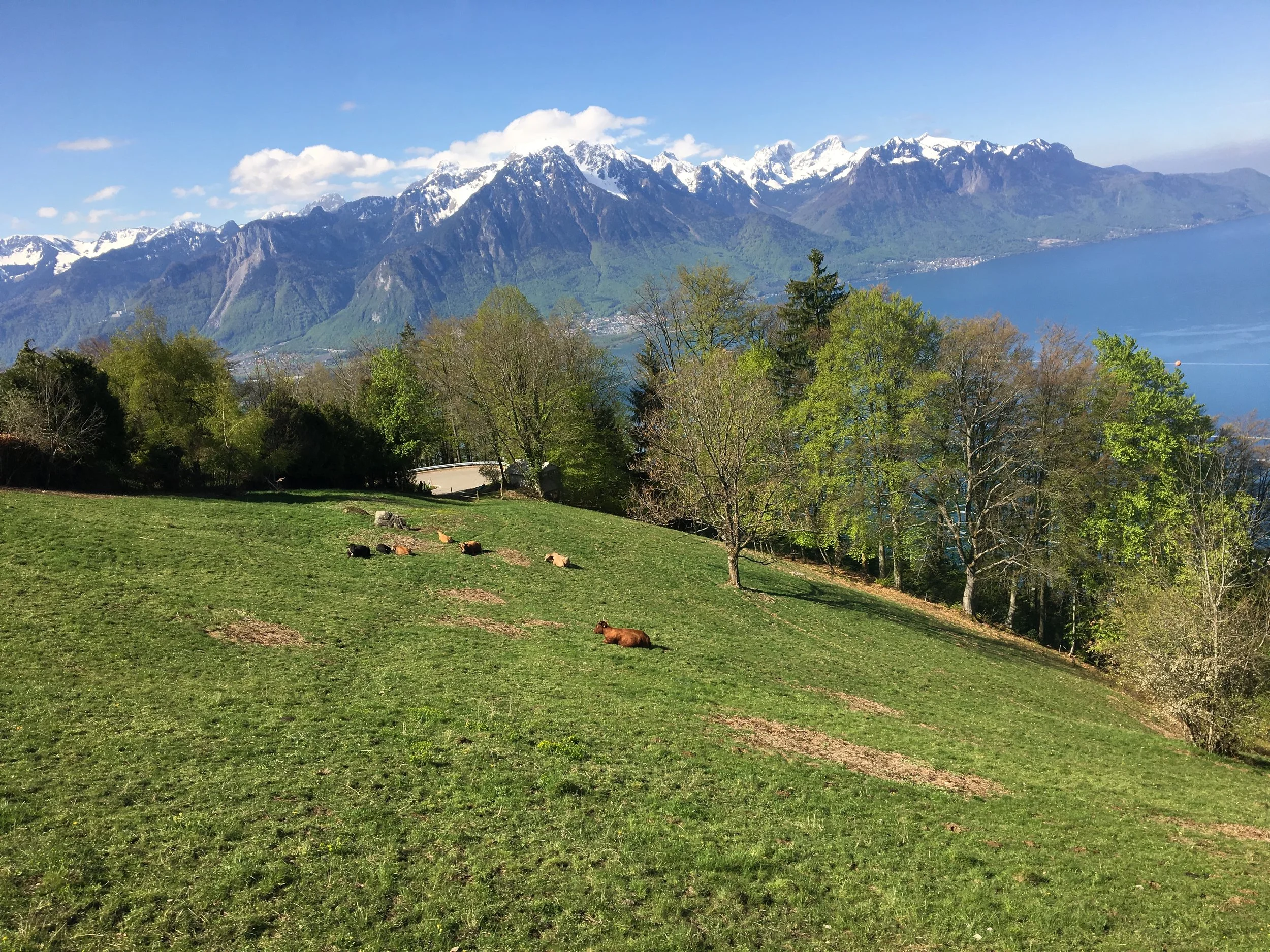 2019-04-30 10.36.25.jpg