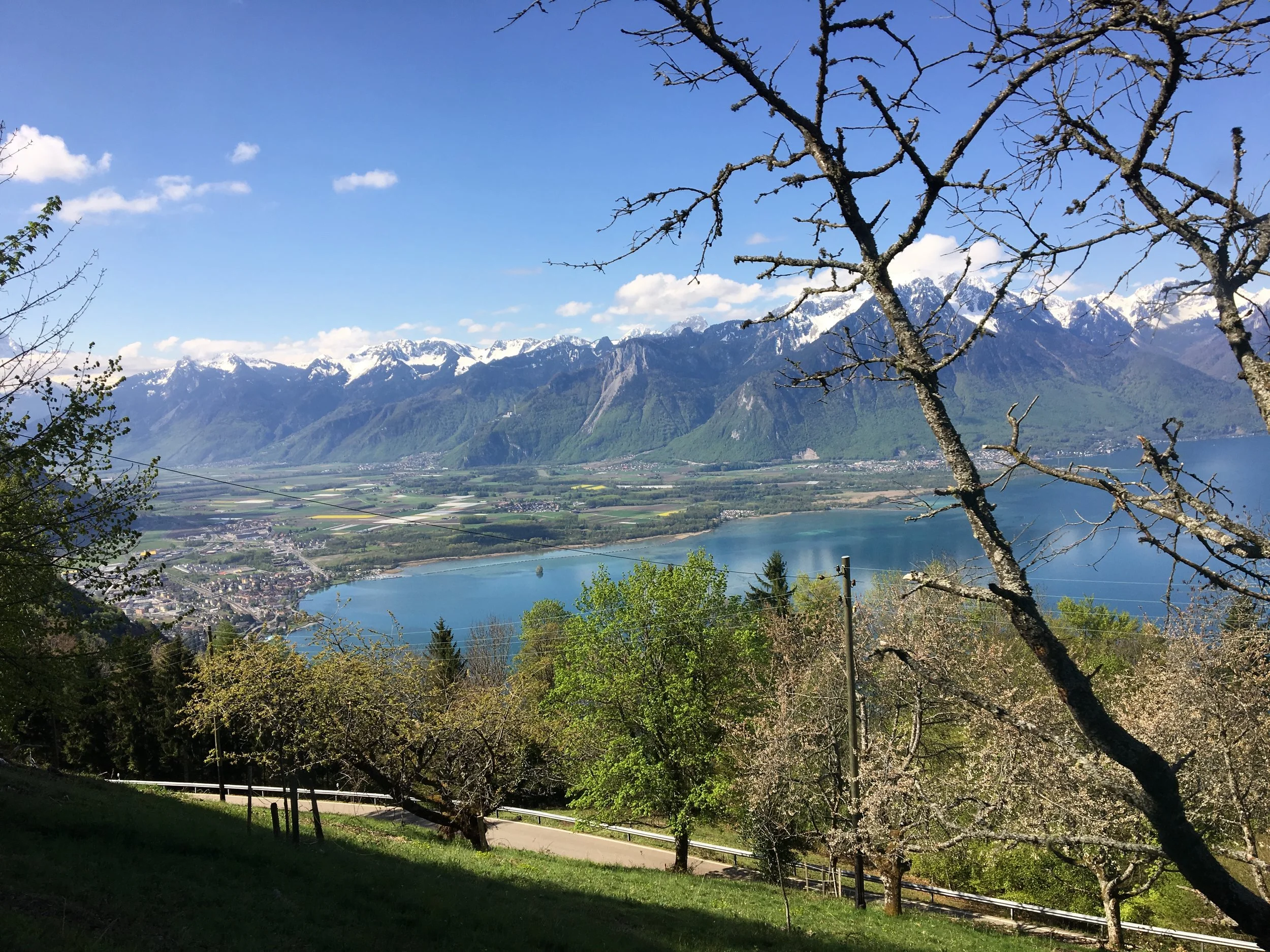 2019-04-30 10.37.13.jpg