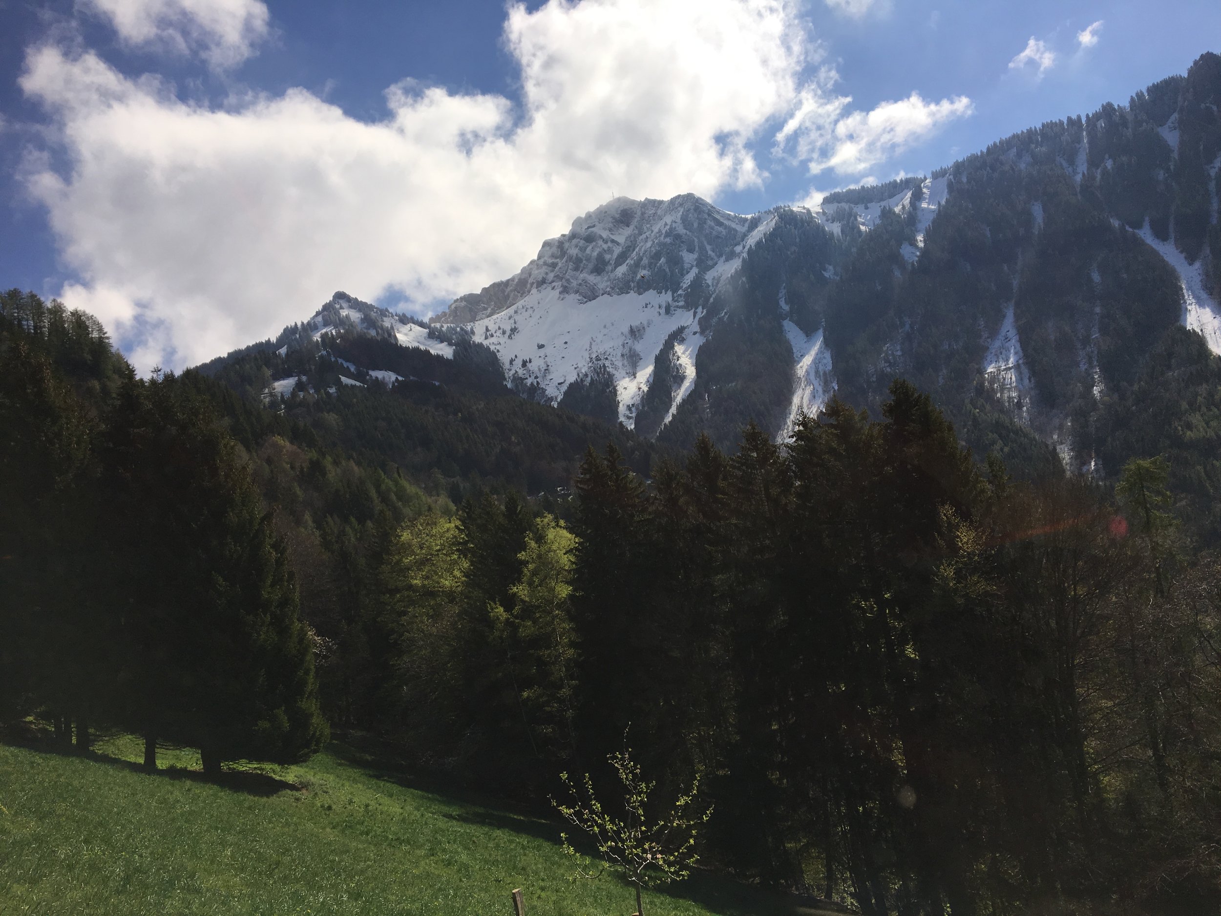 2019-04-30 10.49.13.jpg