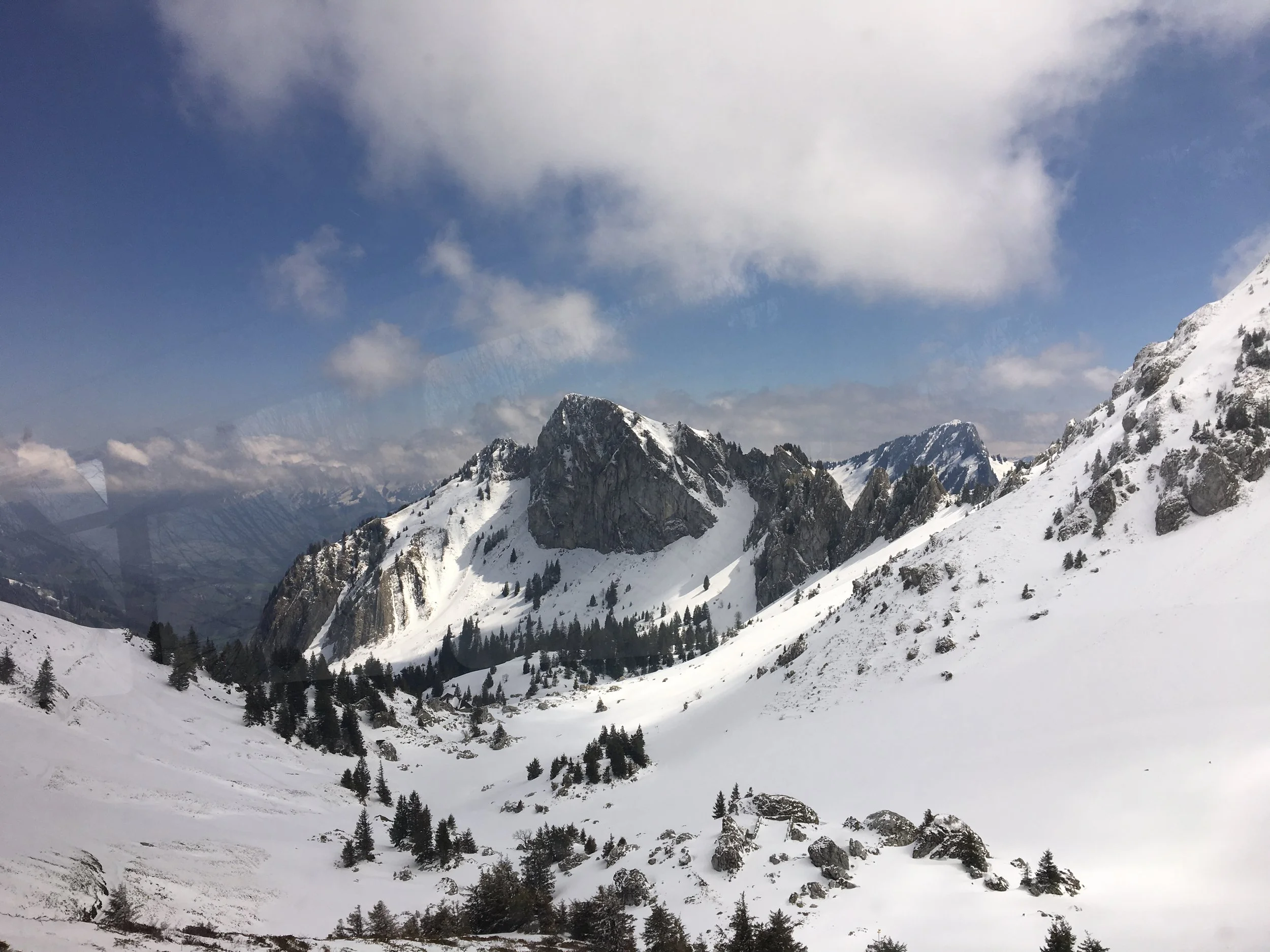 2019-04-30 12.20.13.jpg