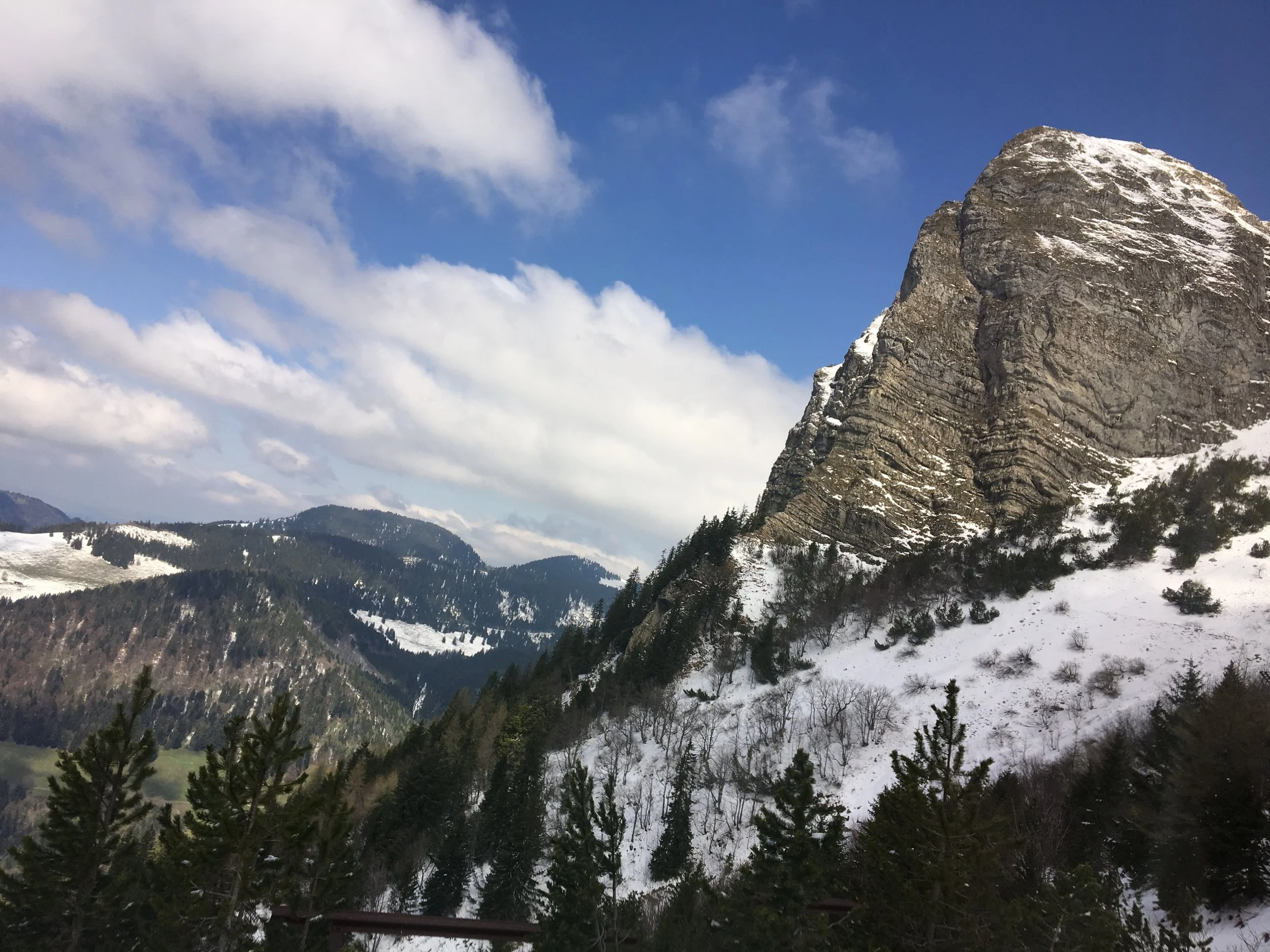 2019-04-30 12.24.25.jpg