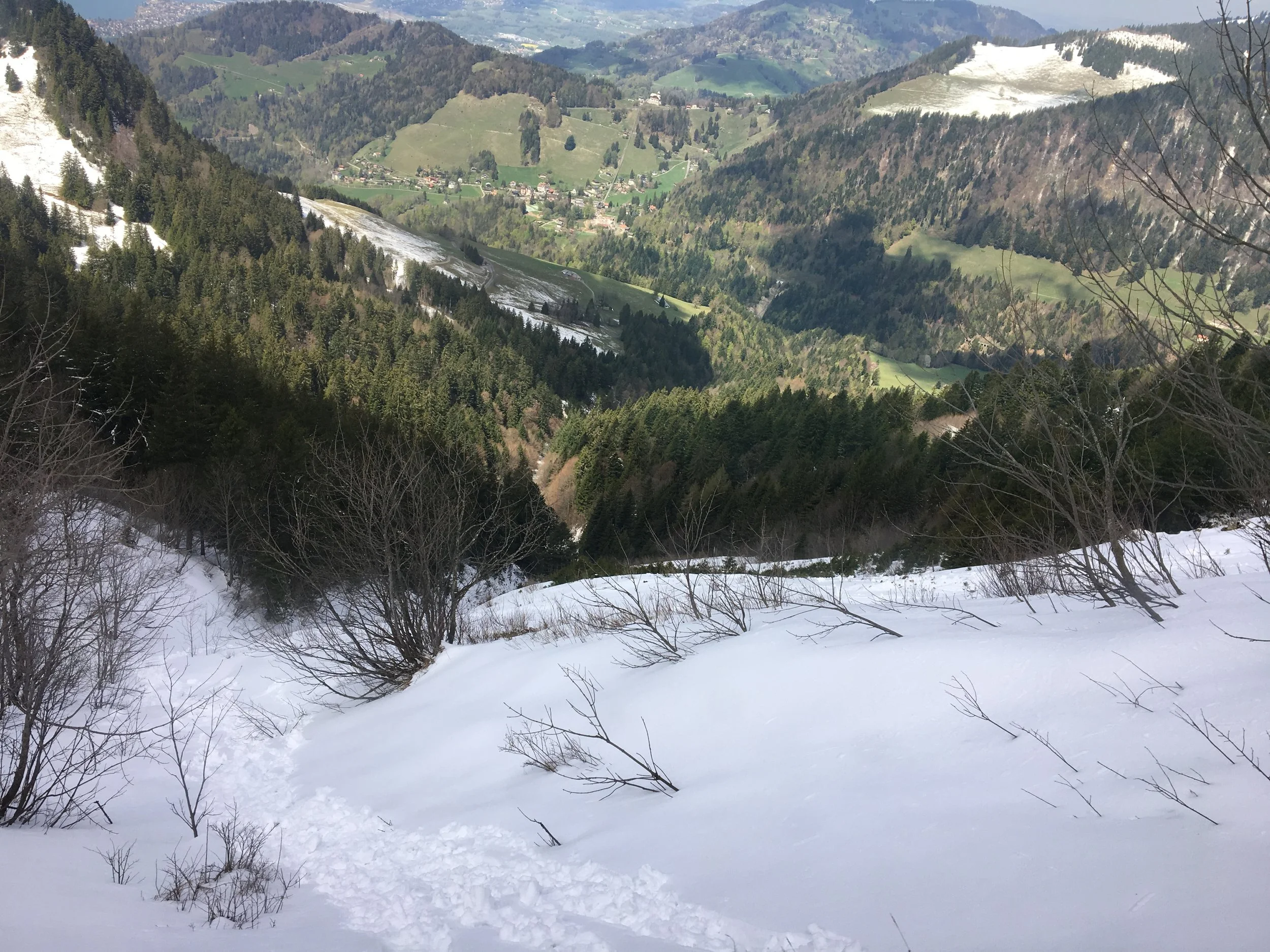 2019-04-30 12.24.43.jpg