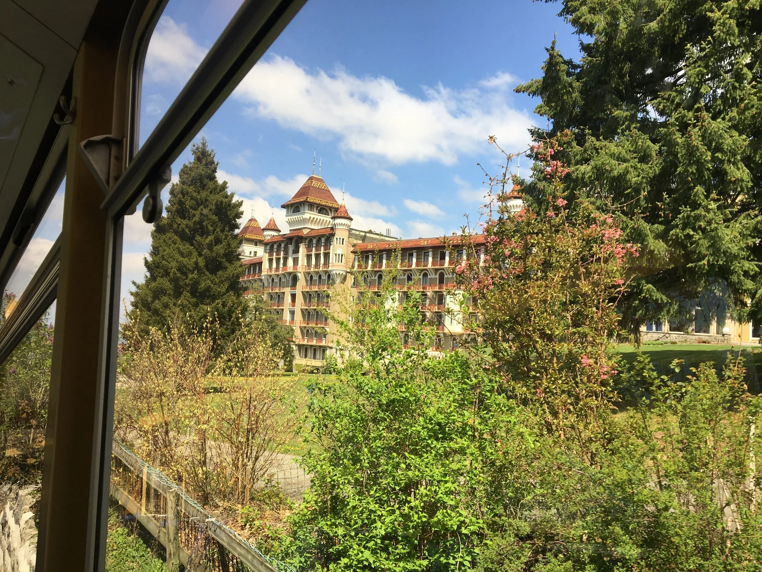 2019-04-30 12.42.45.jpg